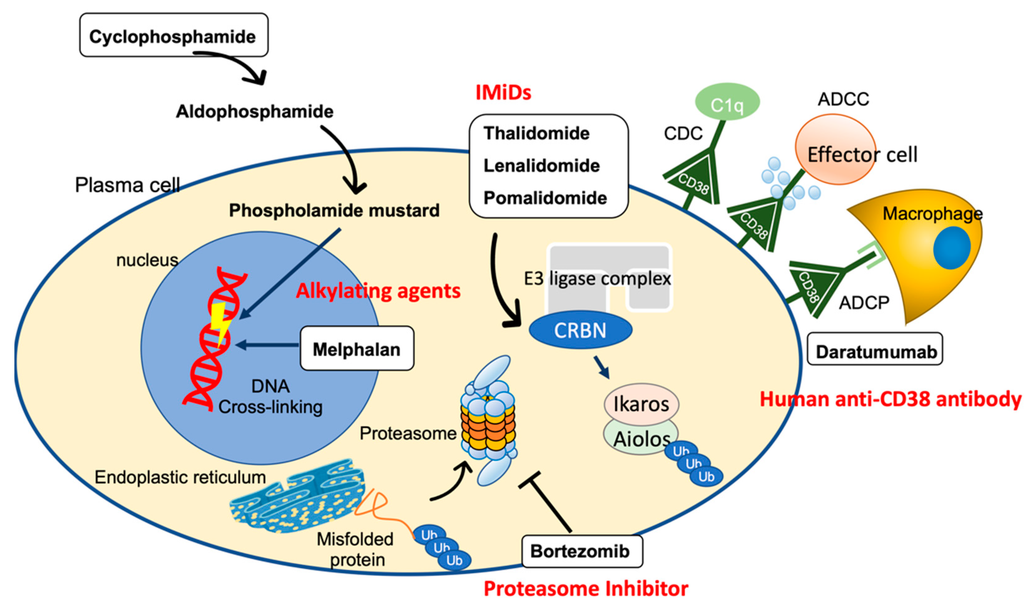 Ijms 23 06336 g002 Ijms 23 06336 g002