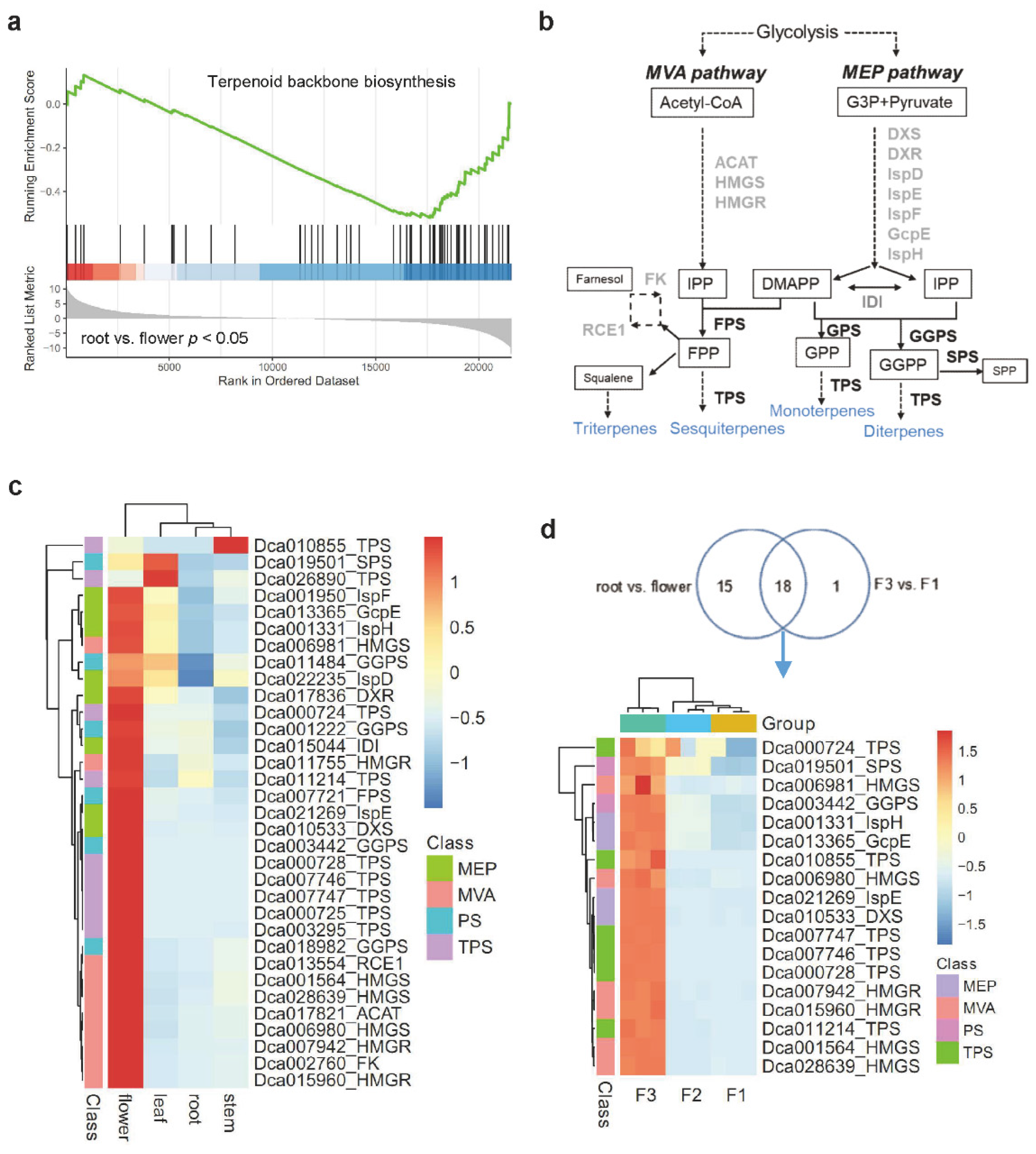 Ijms Free Full Text Metabolic Profiling Of Terpene Diversity And The Response Of Prenylsynthase Terpene Synthase Genes During Biotic And Abiotic Stresses In Dendrobium Catenatum Html