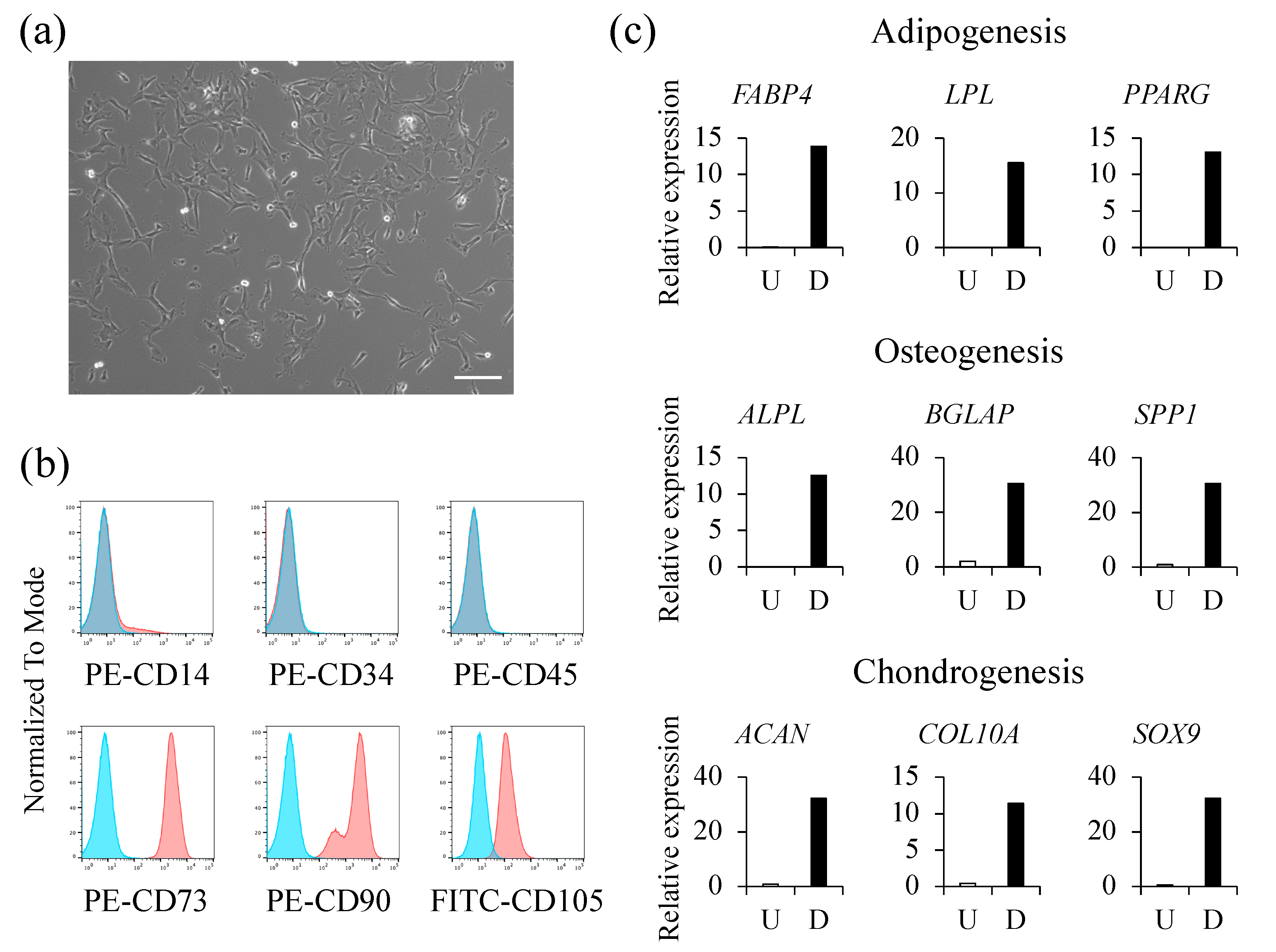 Ijms 23 06433 g001 Ijms 23 06433 g001