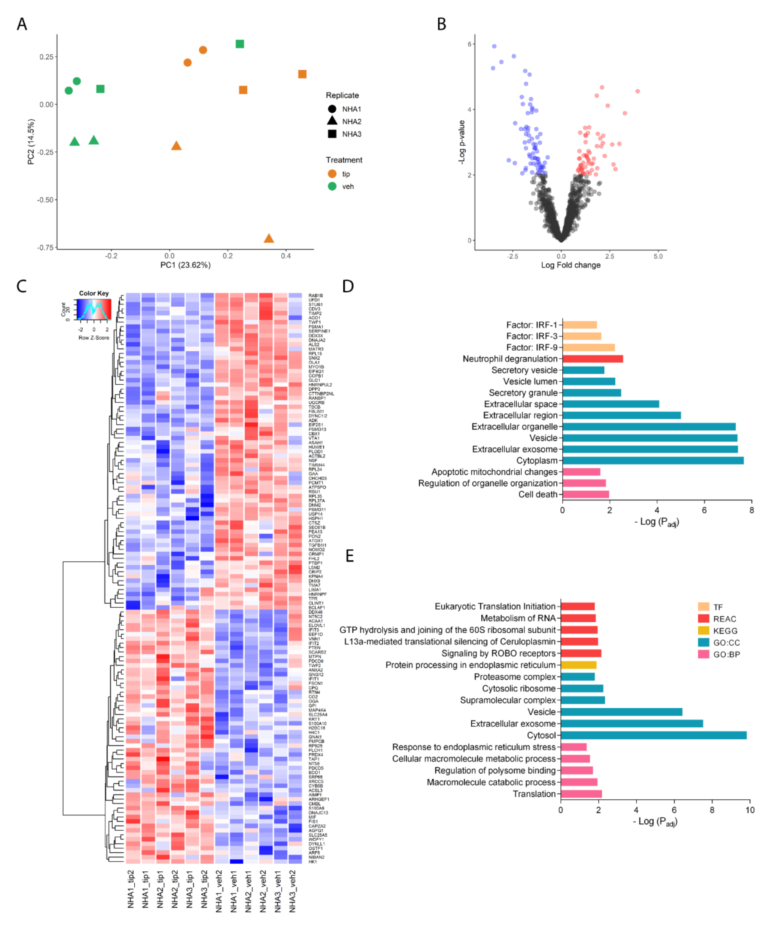 Ijms 23 06454 g003 Ijms 23 06454 g003
