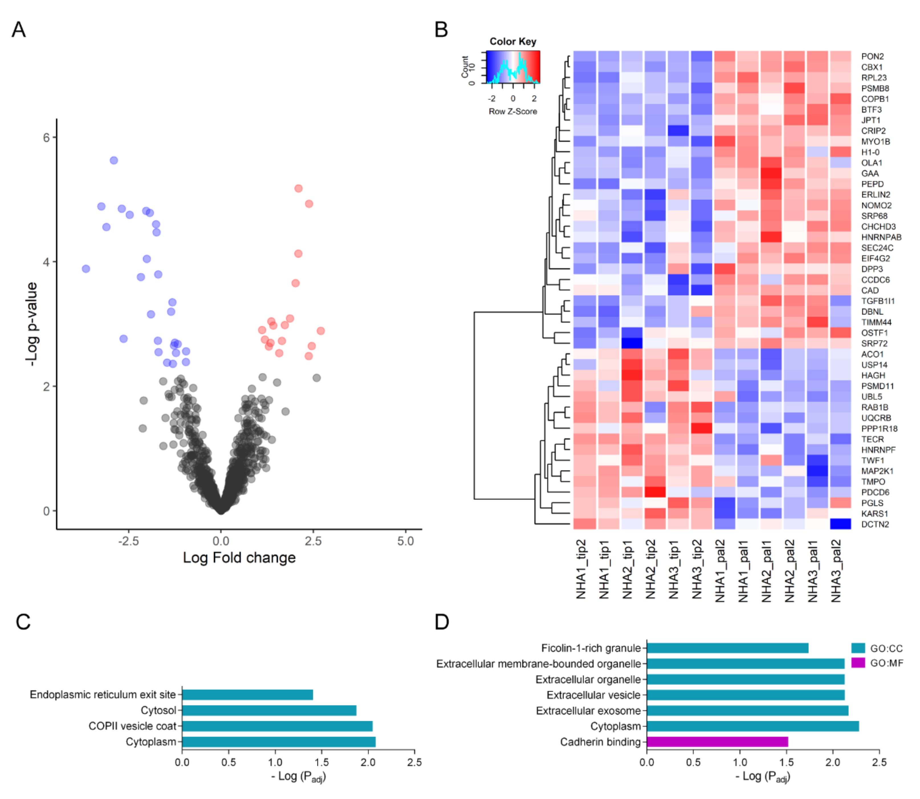 Ijms 23 06454 g004 Ijms 23 06454 g004