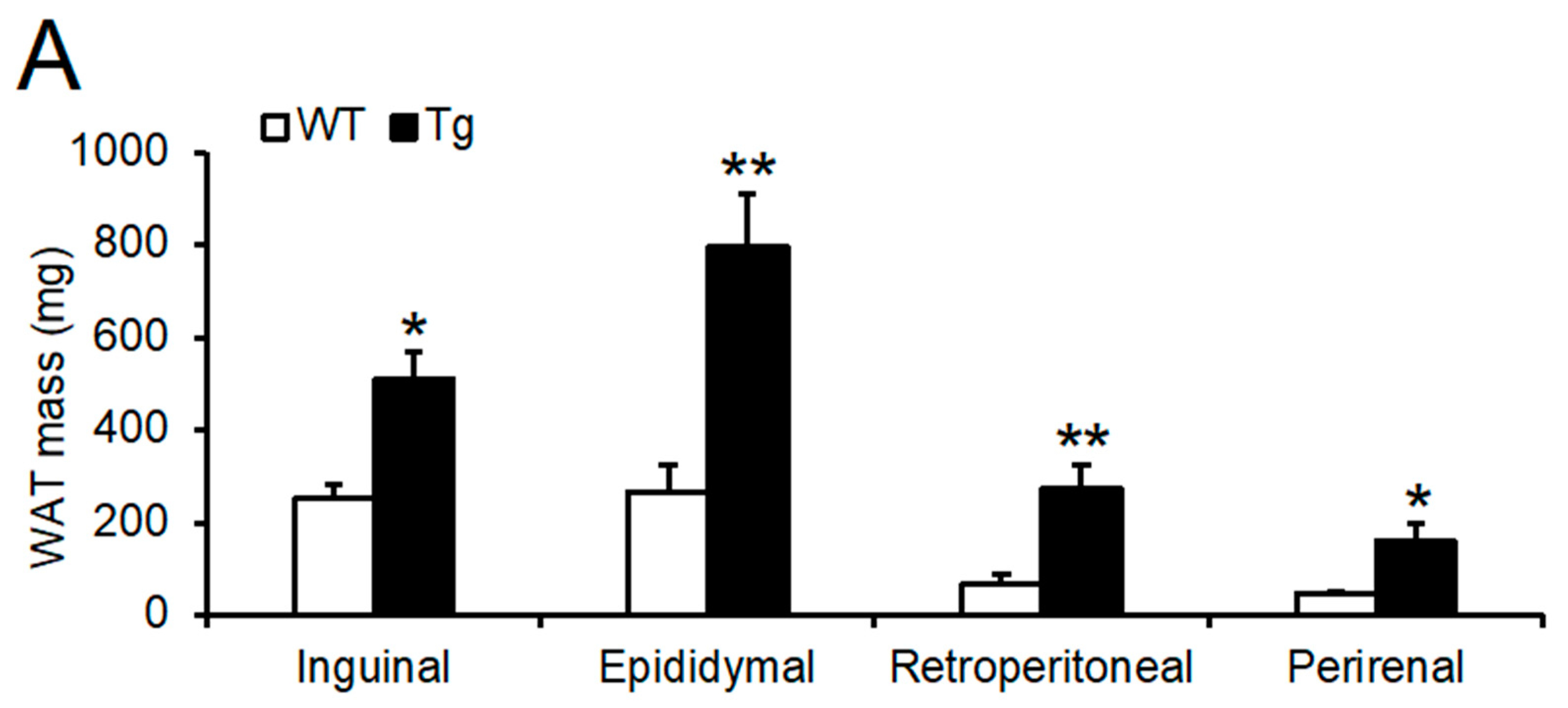 Ijms 23 06488 g003a Ijms 23 06488 g003a