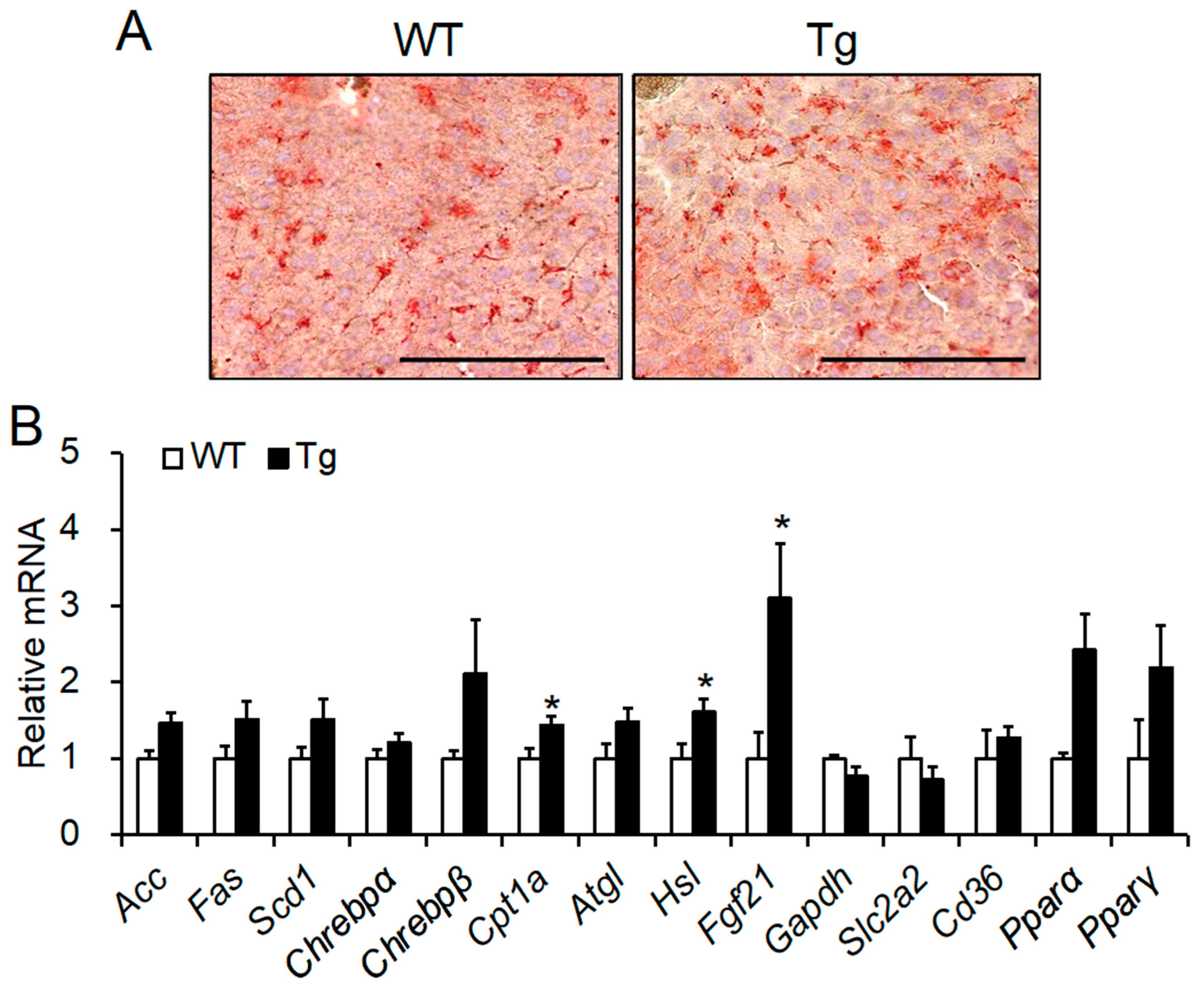 Ijms 23 06488 g005 Ijms 23 06488 g005