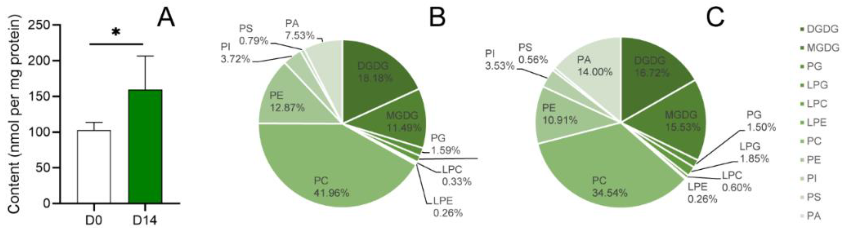 IJMS | Free Full-Text | Integrated Lipidomic and Transcriptomic Analysis  Reveals Phospholipid Changes in Somatic Embryos of Picea asperata in  Response to Partial Desiccation