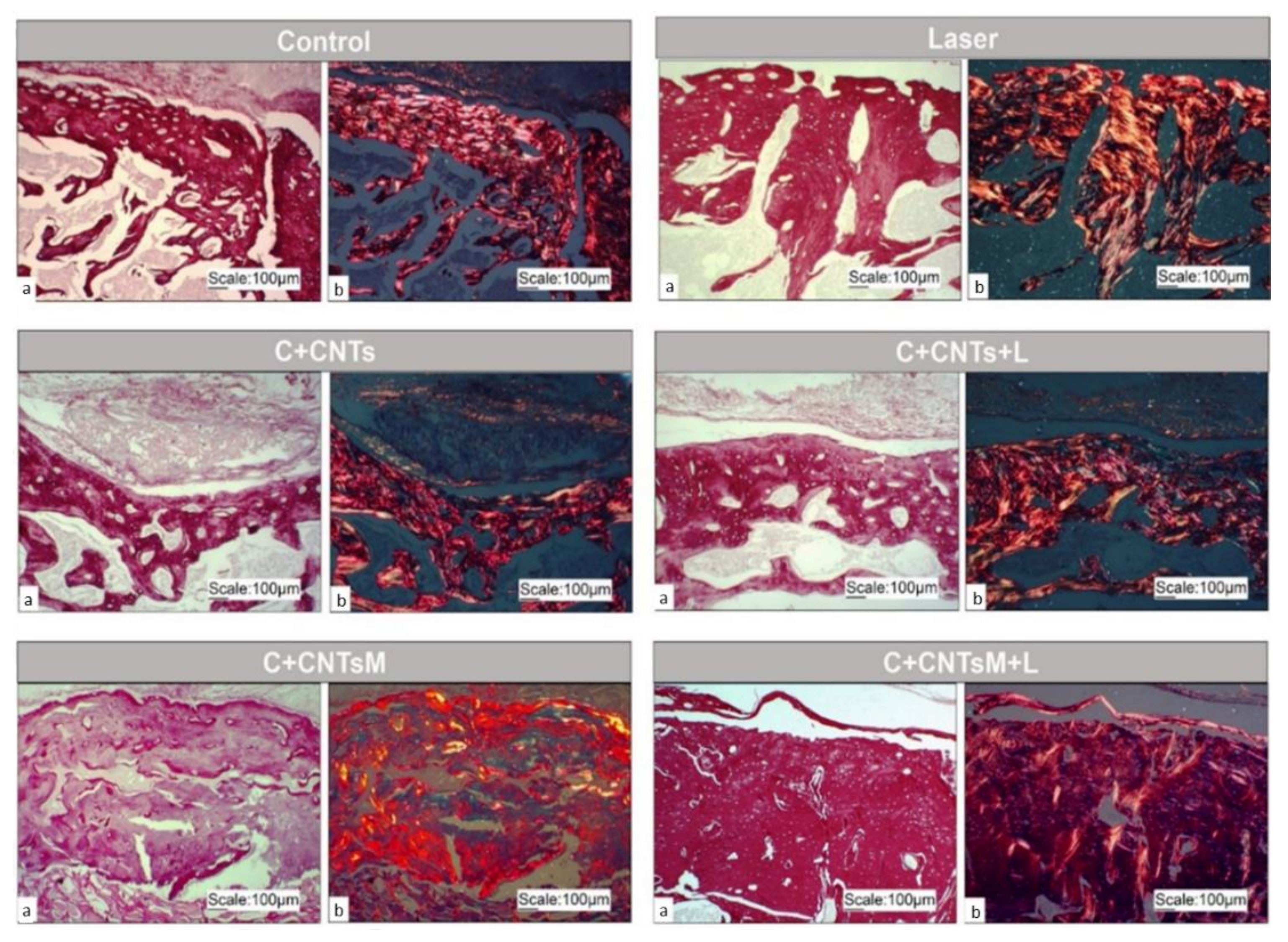 Ijms 23 06503 g007 Ijms 23 06503 g007