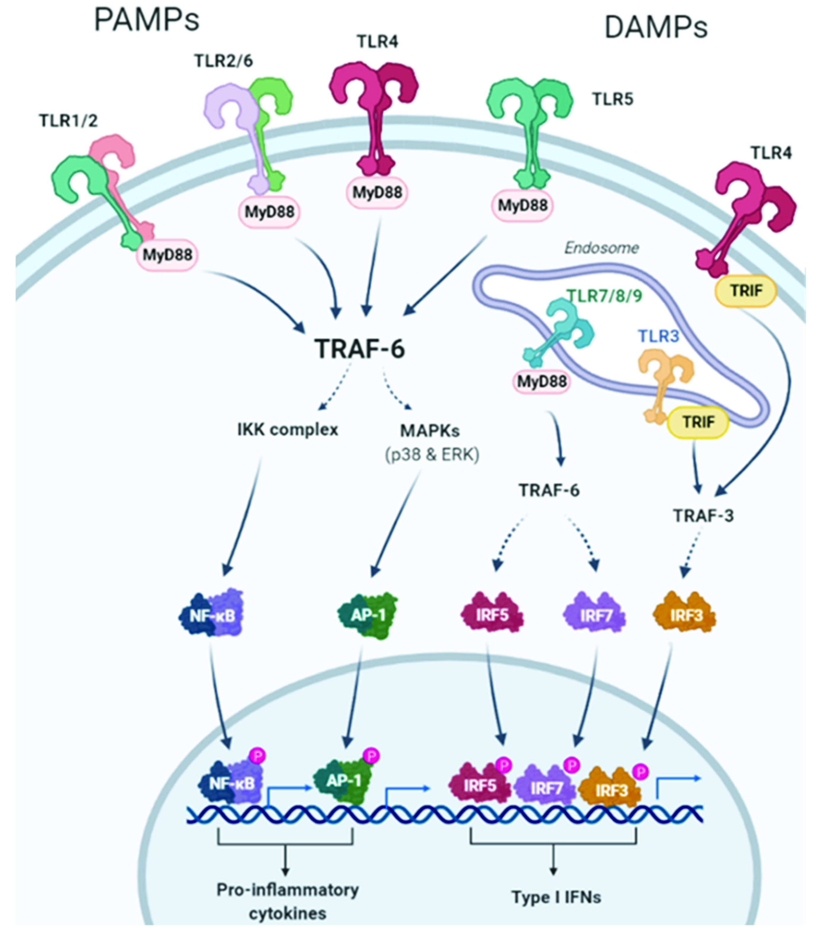 Ijms 23 06539 g001 Ijms 23 06539 g001