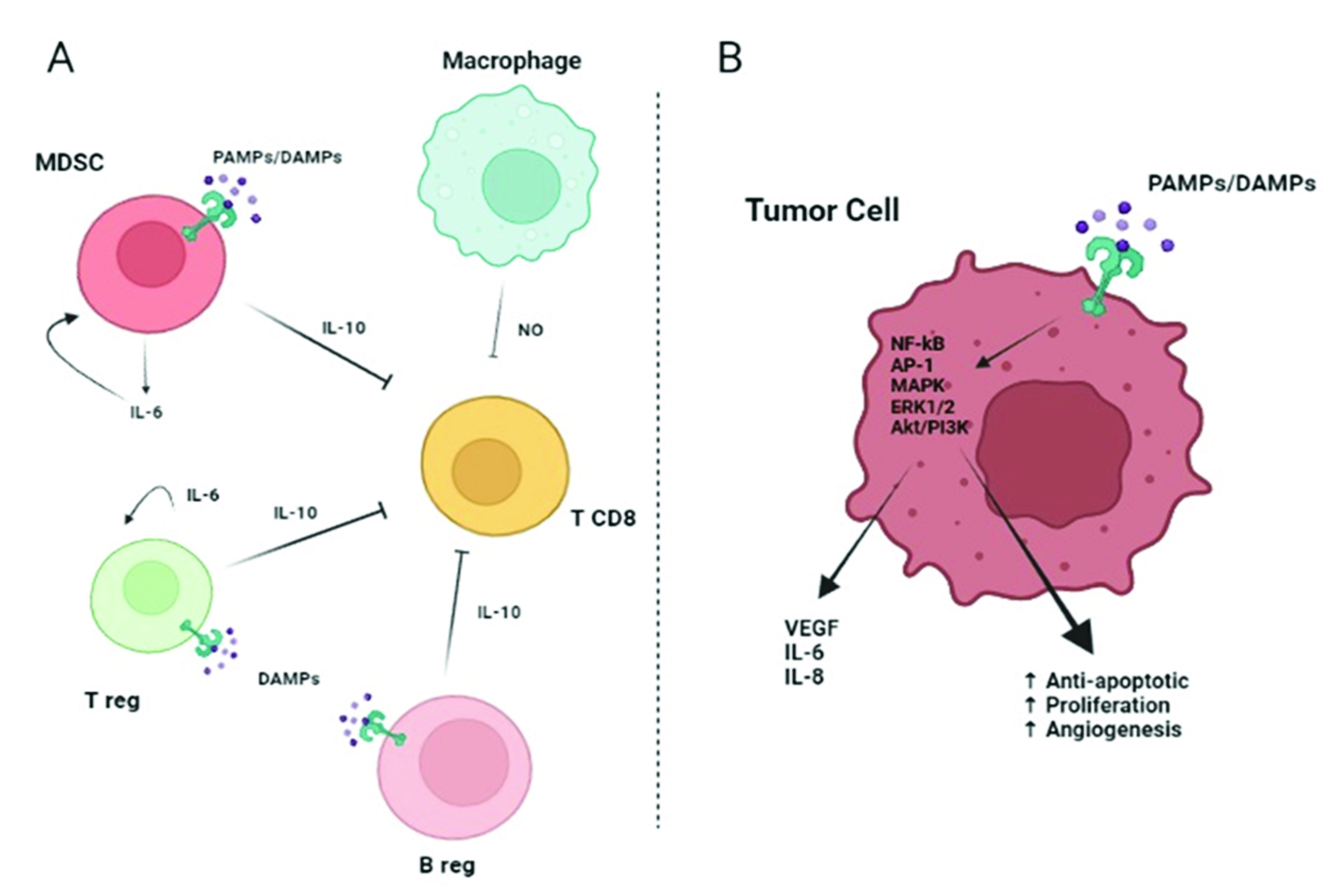 Ijms 23 06539 g002 Ijms 23 06539 g002