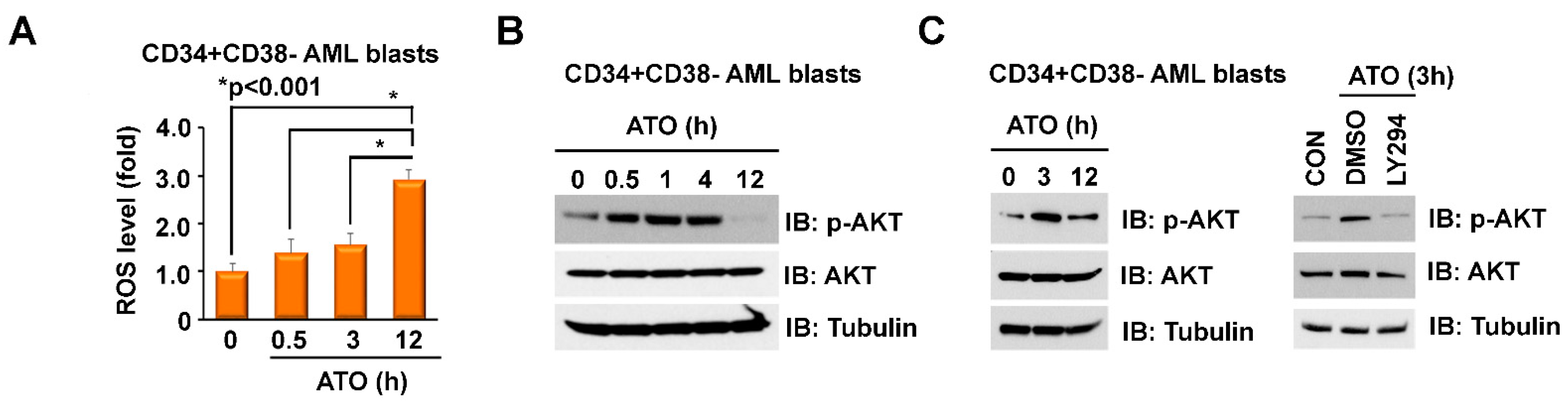 Ijms 23 06568 g001 Ijms 23 06568 g001
