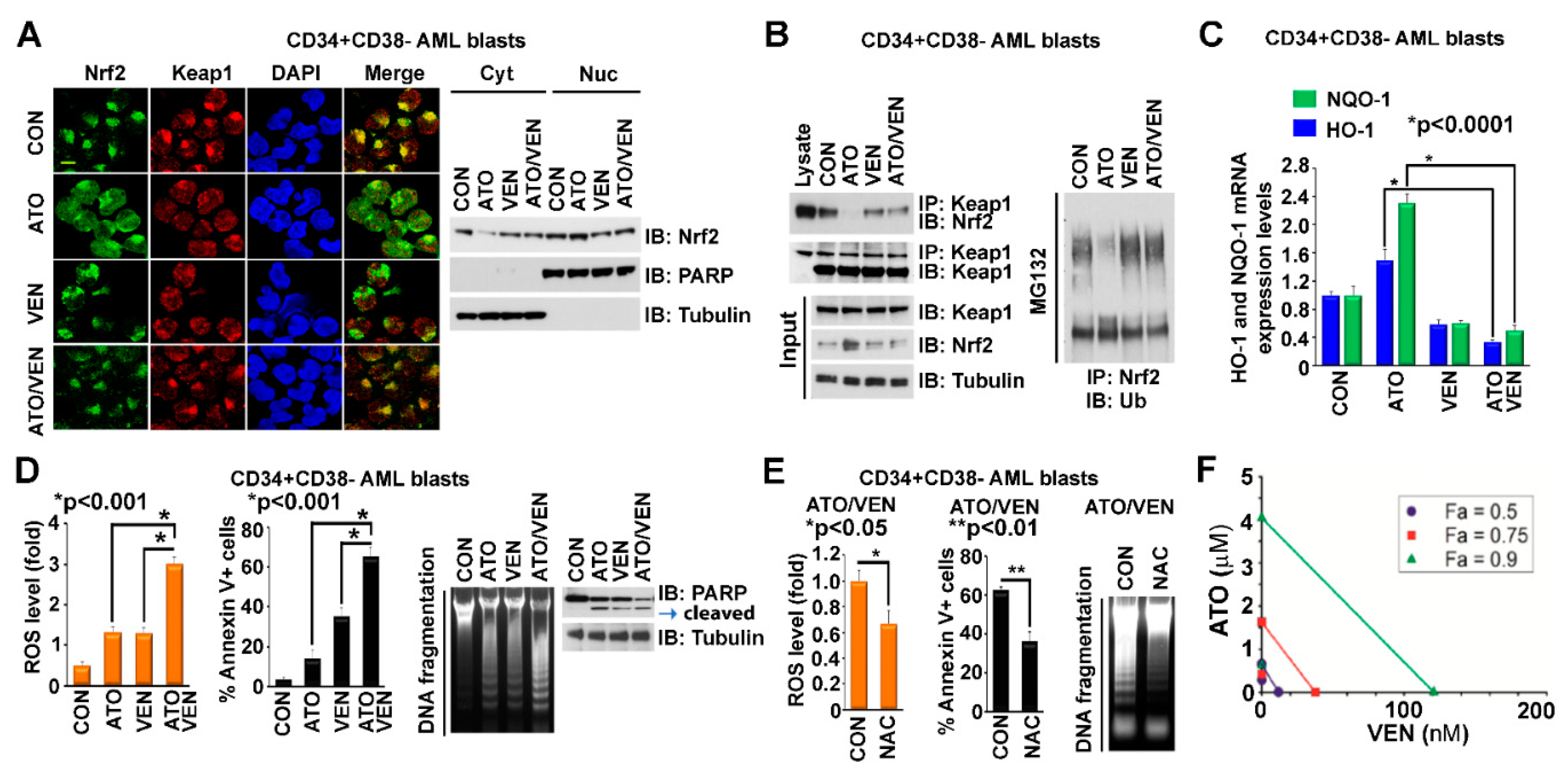 Ijms 23 06568 g003 Ijms 23 06568 g003