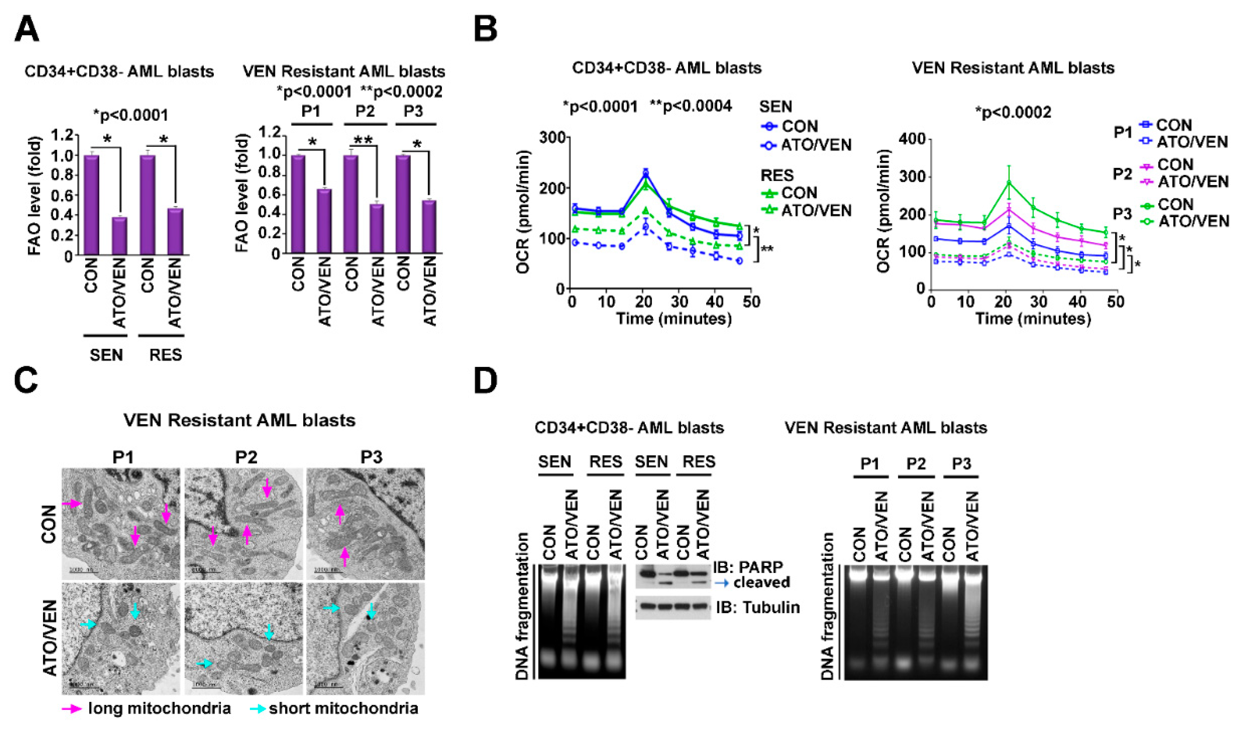 Ijms 23 06568 g005 Ijms 23 06568 g005