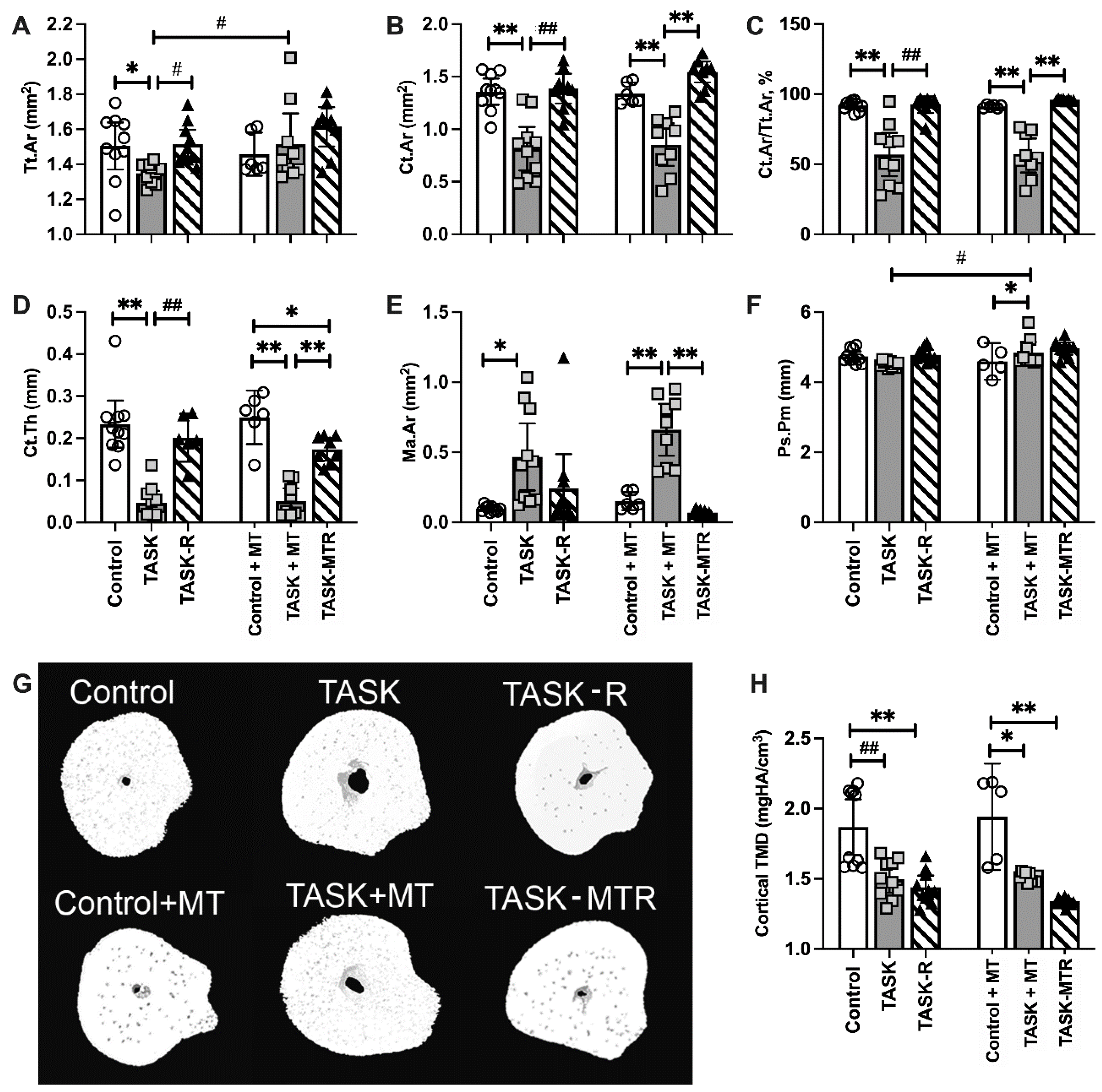 Ijms 23 06586 g004 Ijms 23 06586 g004