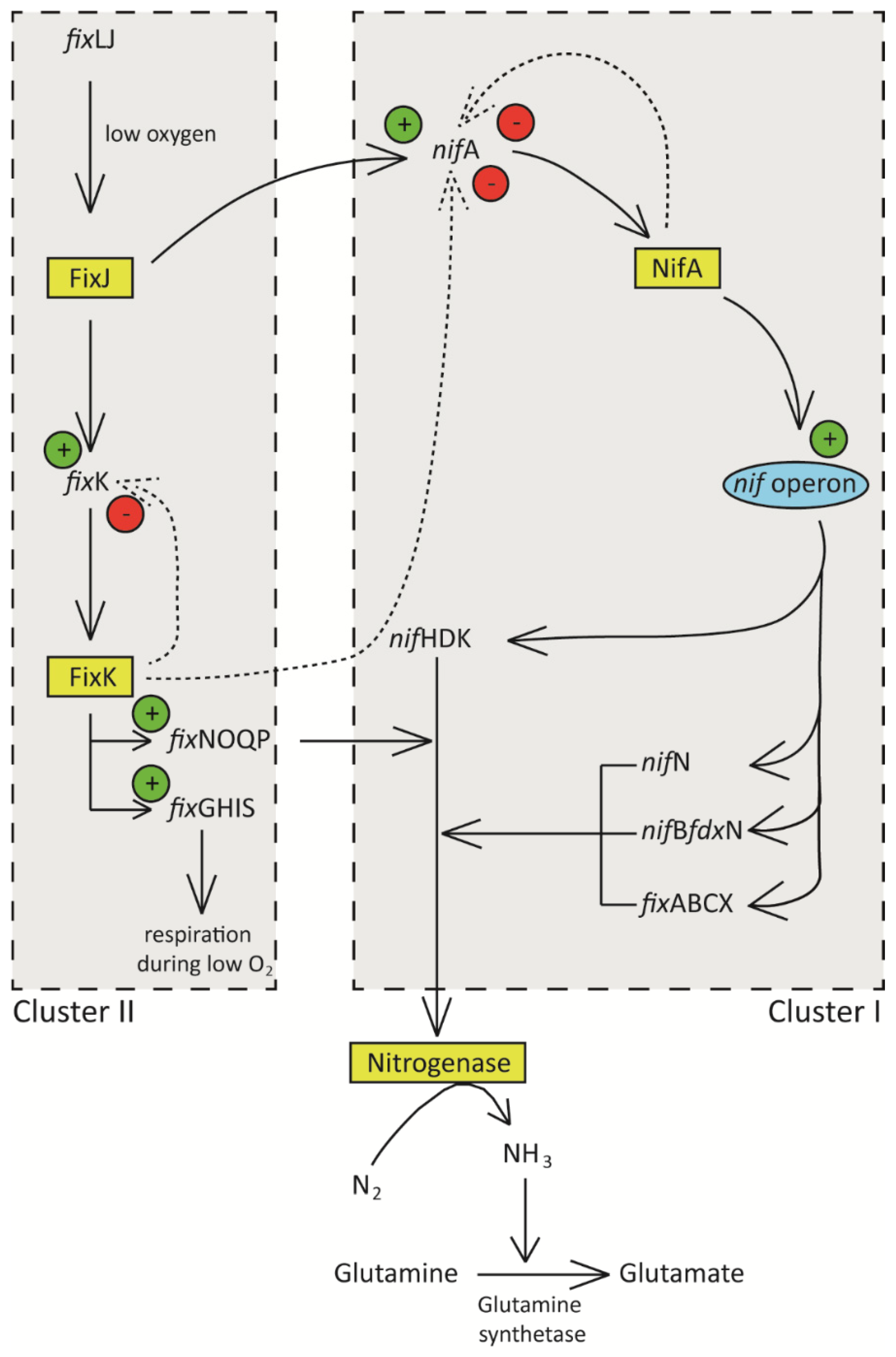 Ijms 23 06599 g002 Ijms 23 06599 g002