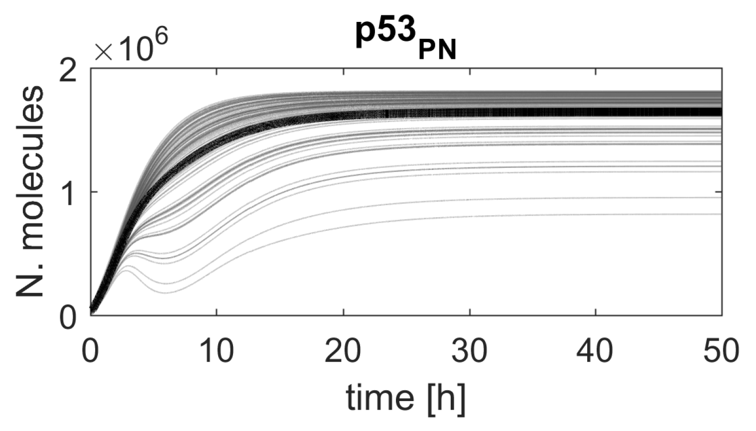 Ijms 23 06604 g004 Ijms 23 06604 g004