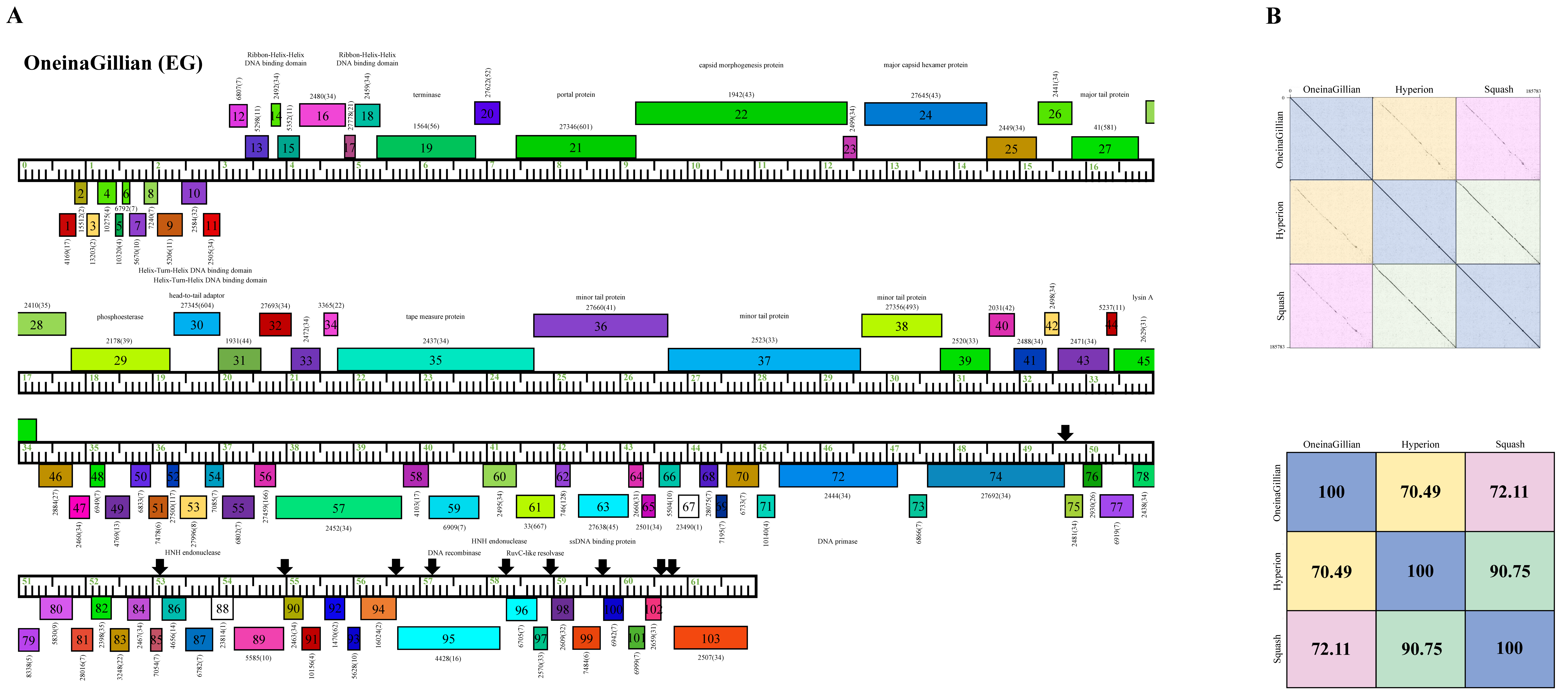 Ijms 23 06609 g007 Ijms 23 06609 g007