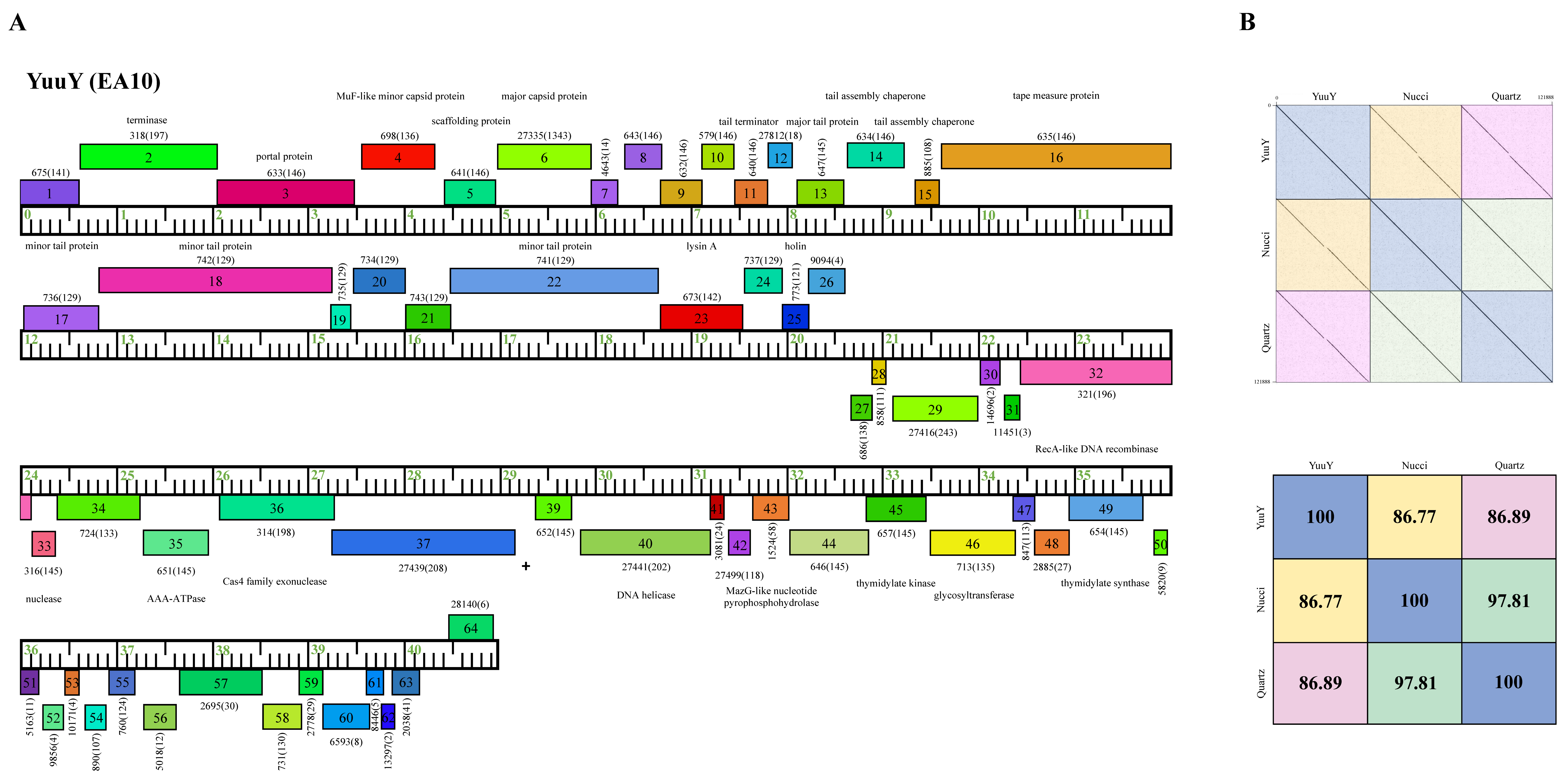 Ijms 23 06609 g008 Ijms 23 06609 g008