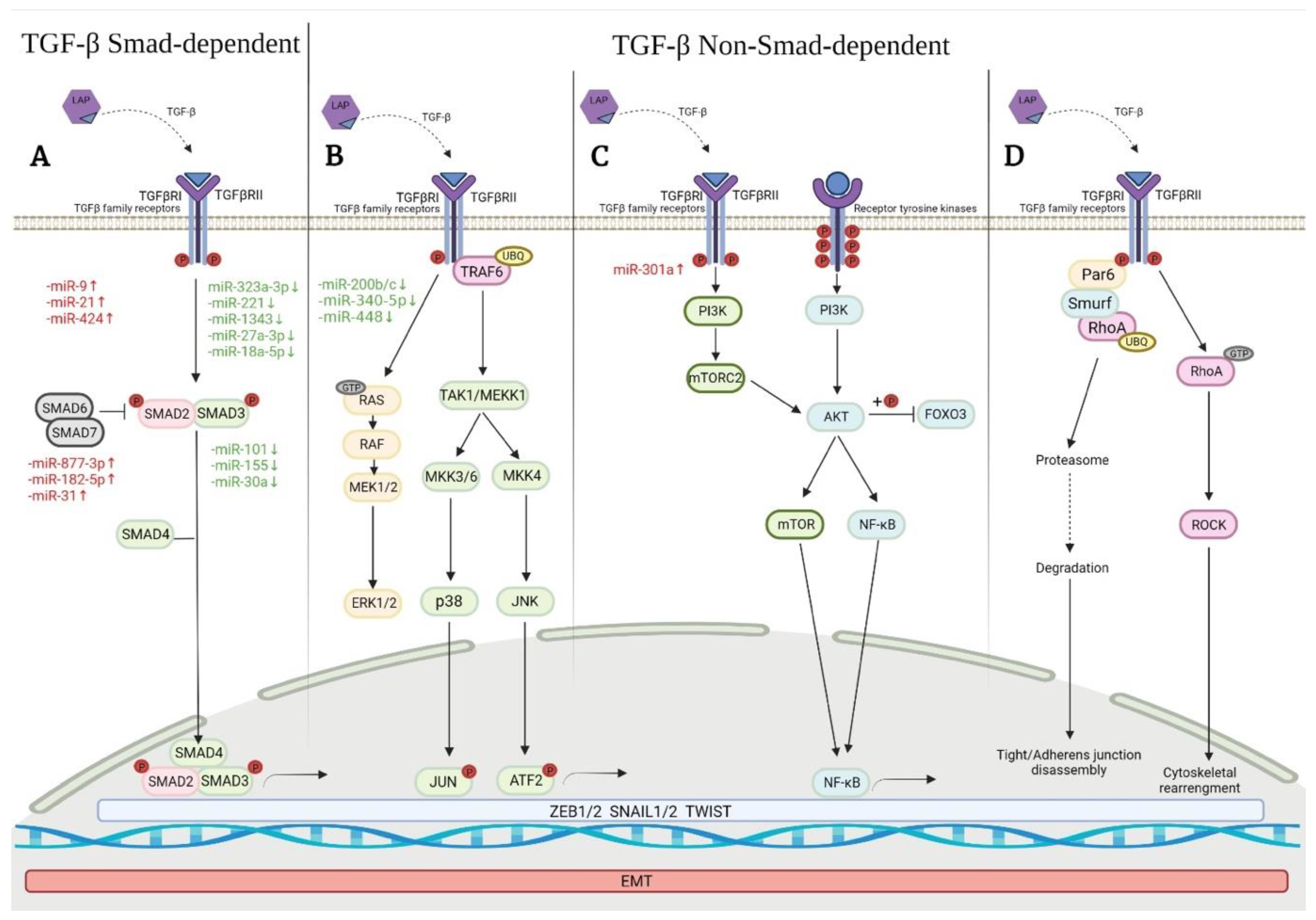Ijms 23 06613 g001 Ijms 23 06613 g001