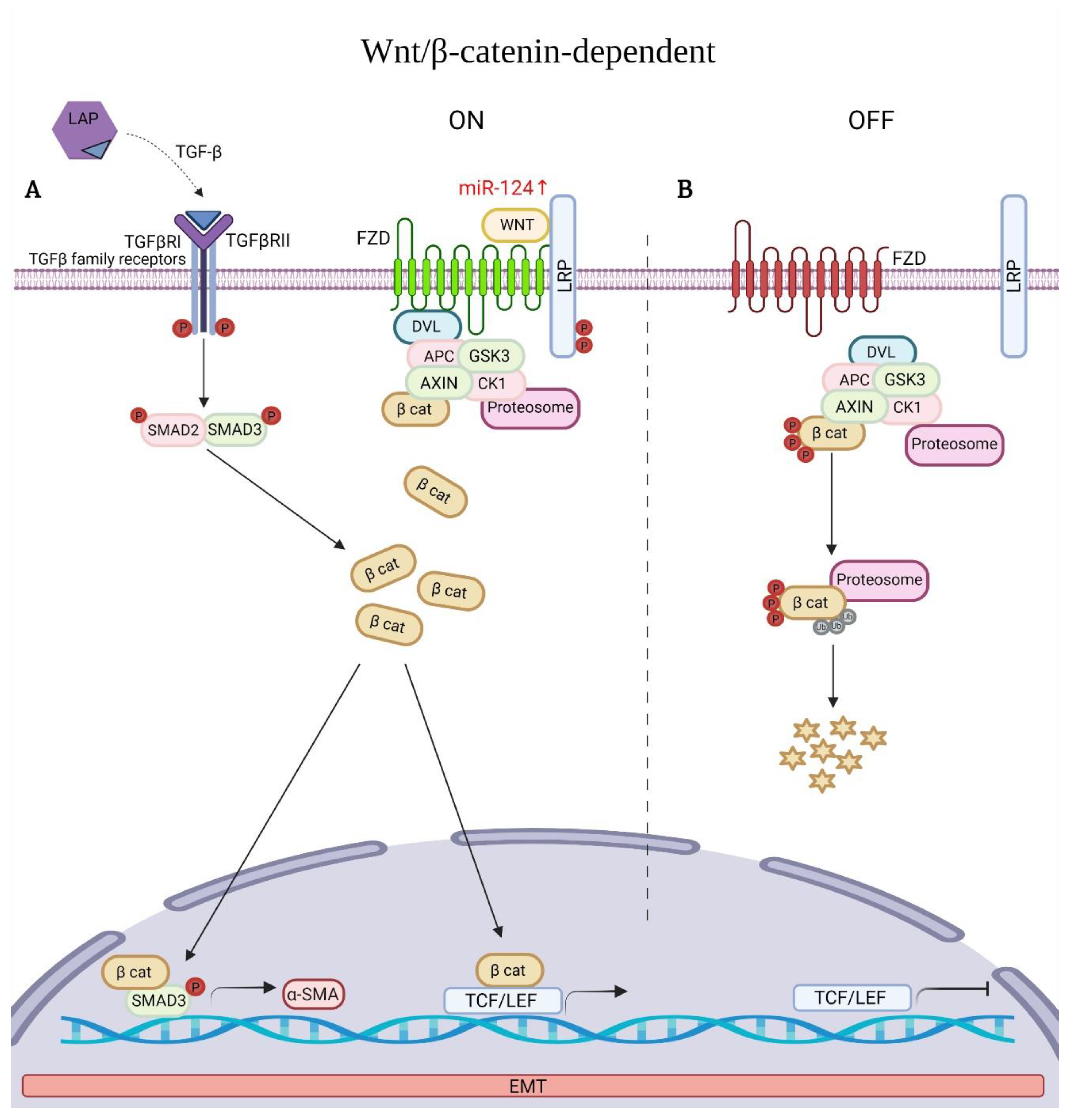 Ijms 23 06613 g002 Ijms 23 06613 g002