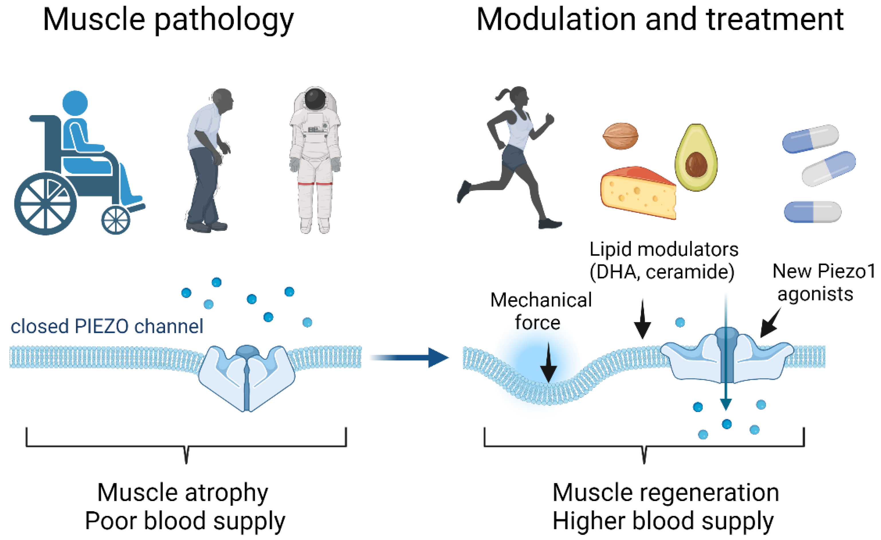 Ijms 23 06616 g002 Ijms 23 06616 g002