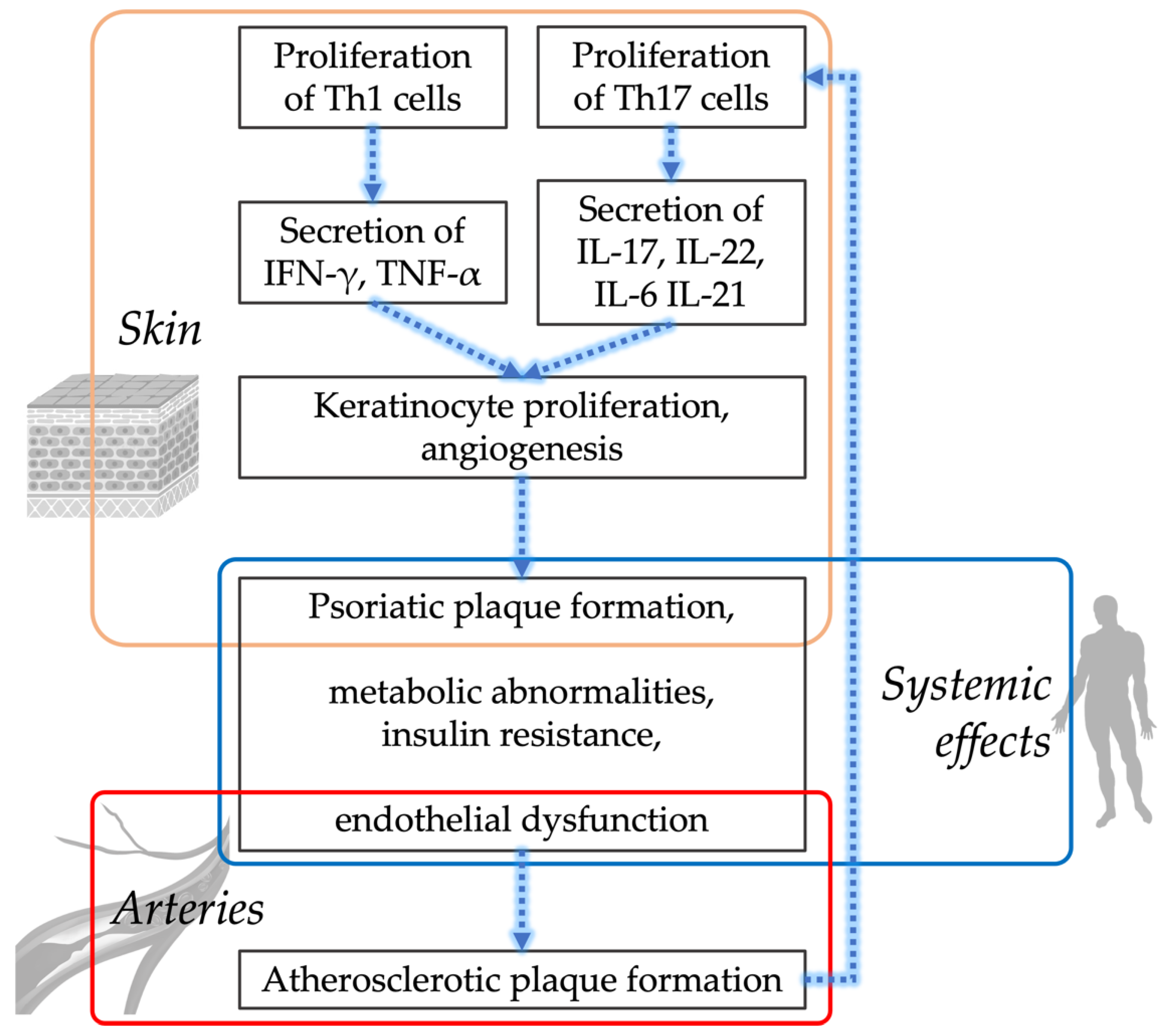 Ijms 23 06648 g001 Ijms 23 06648 g001
