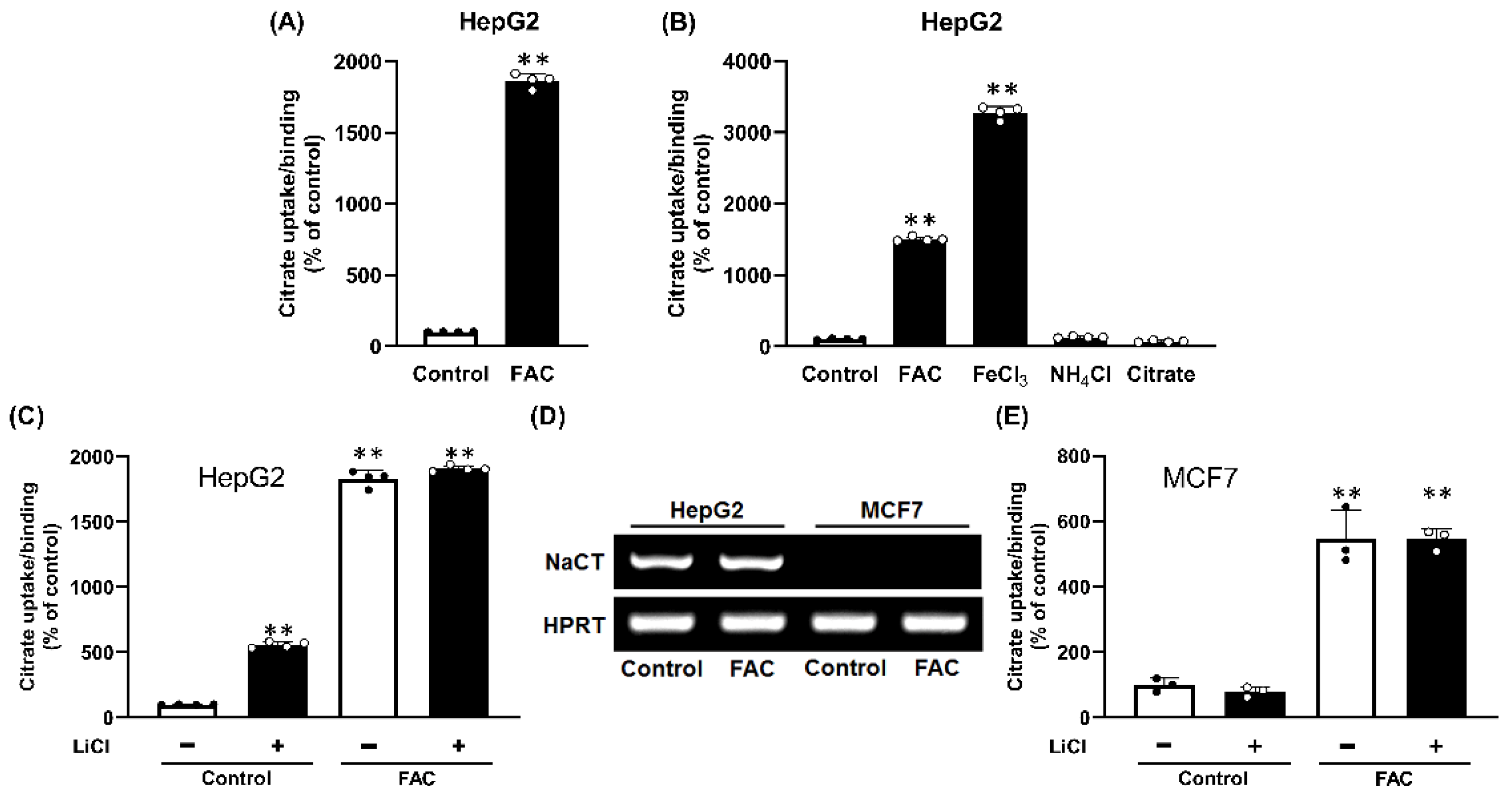 Ijms 23 06657 g001 Ijms 23 06657 g001