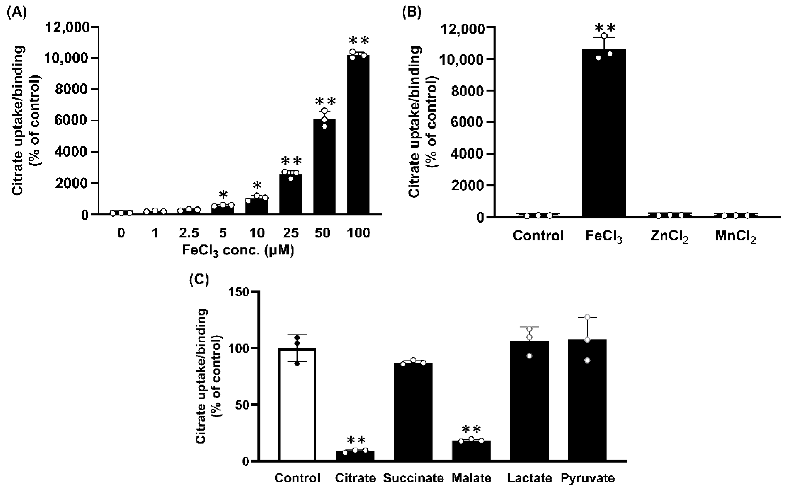 Ijms 23 06657 g002 Ijms 23 06657 g002