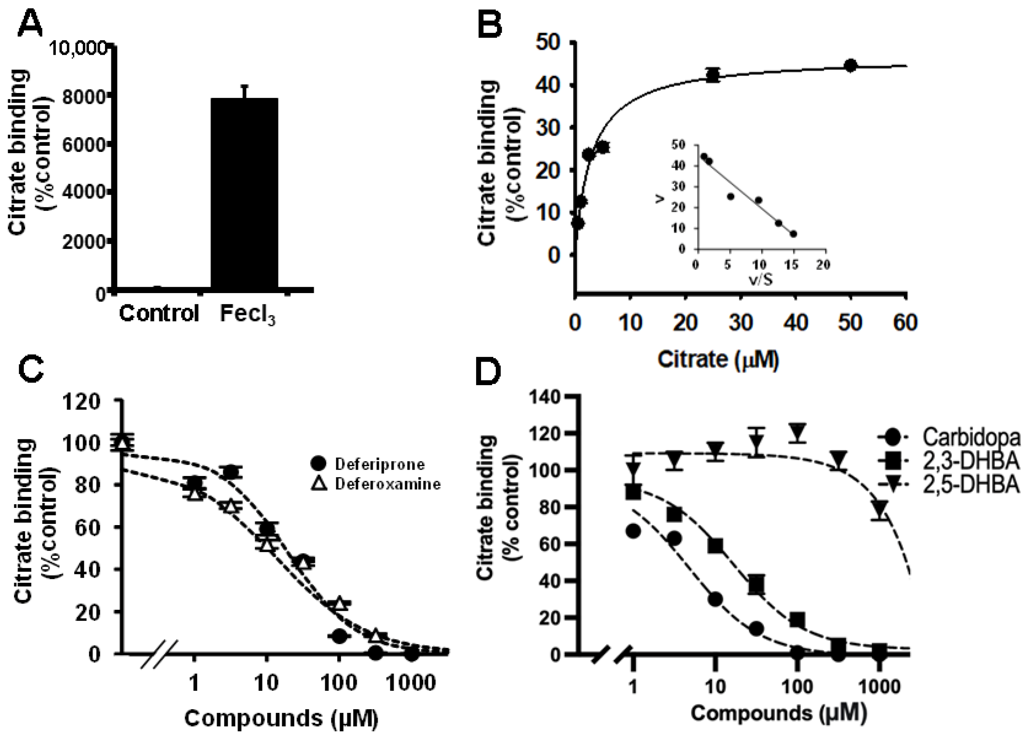 Ijms 23 06657 g003 Ijms 23 06657 g003