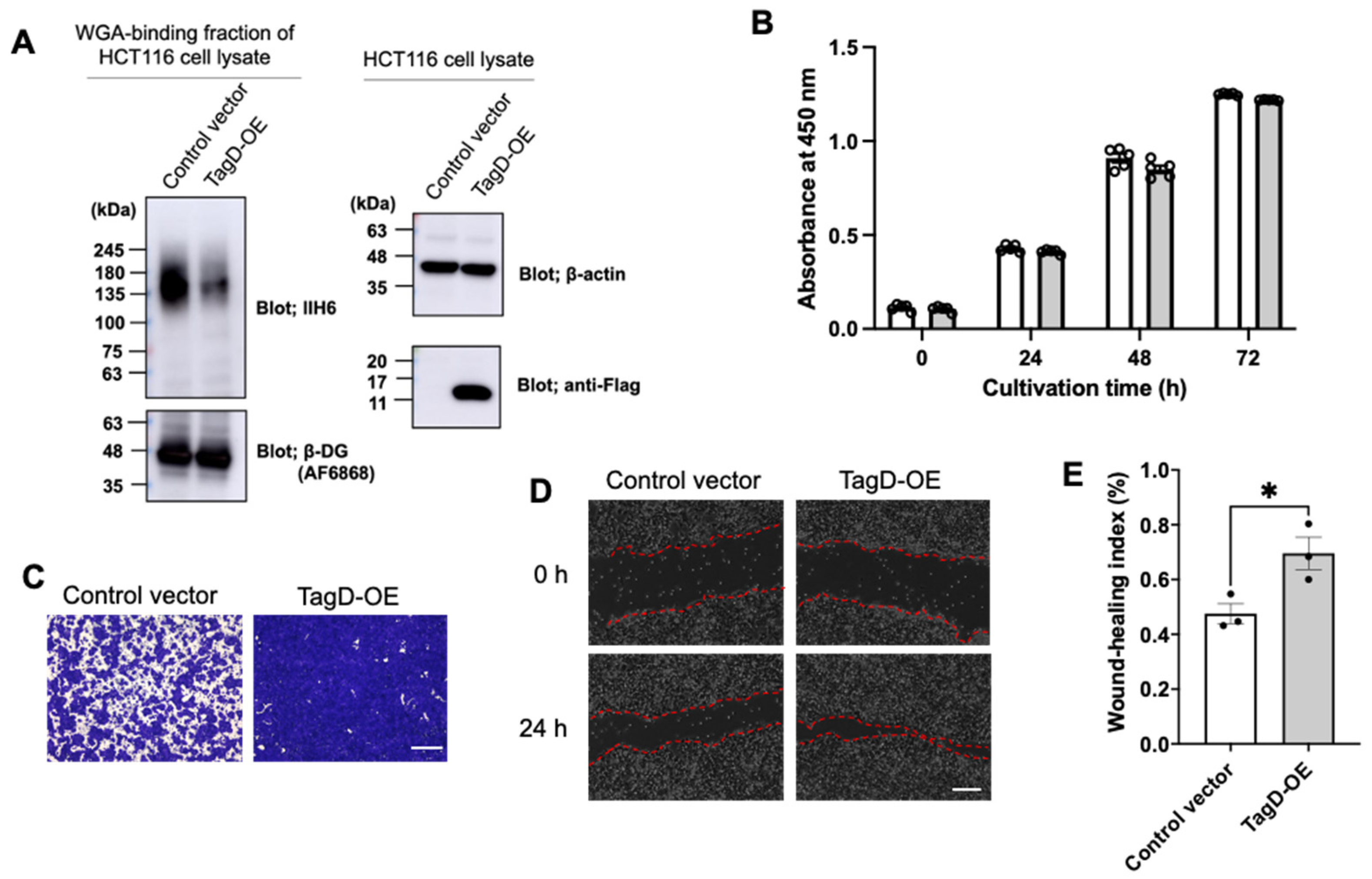 Ijms 23 06662 g002 Ijms 23 06662 g002