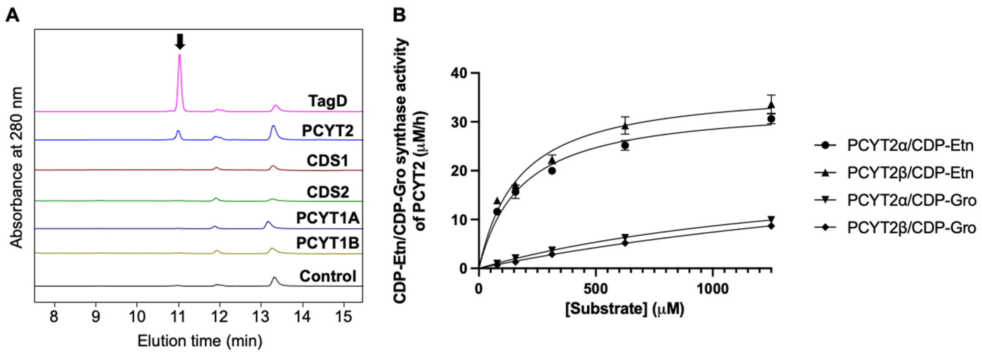 Ijms 23 06662 g003 Ijms 23 06662 g003