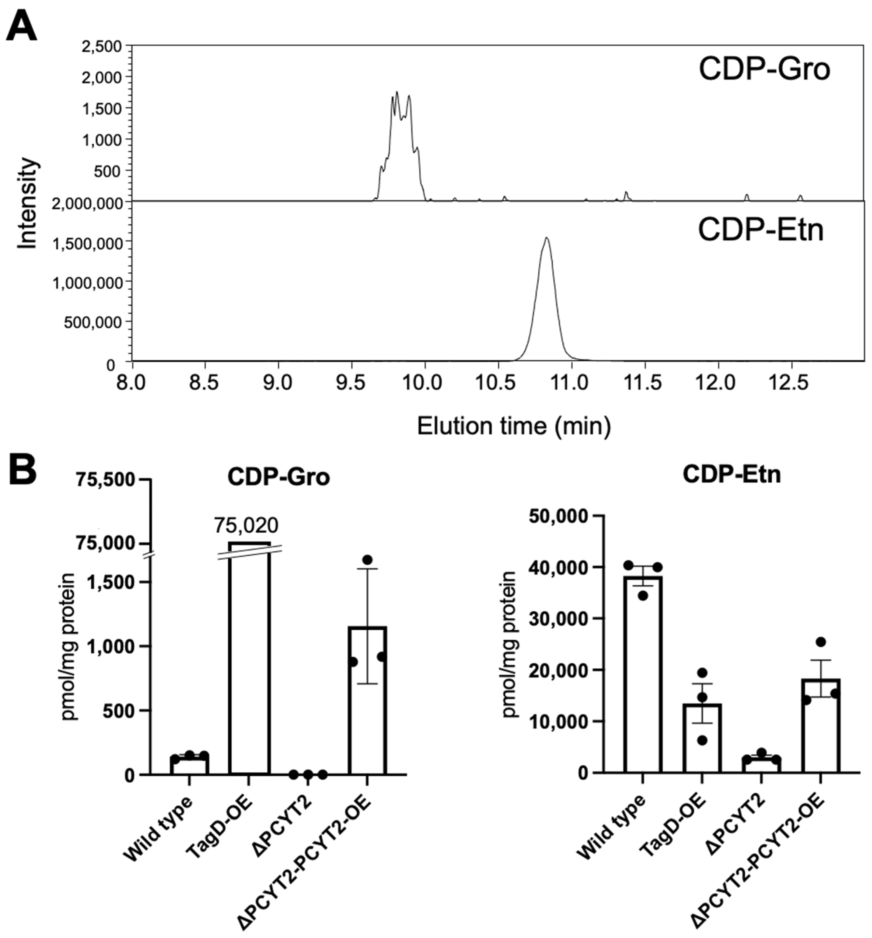 Ijms 23 06662 g004 Ijms 23 06662 g004