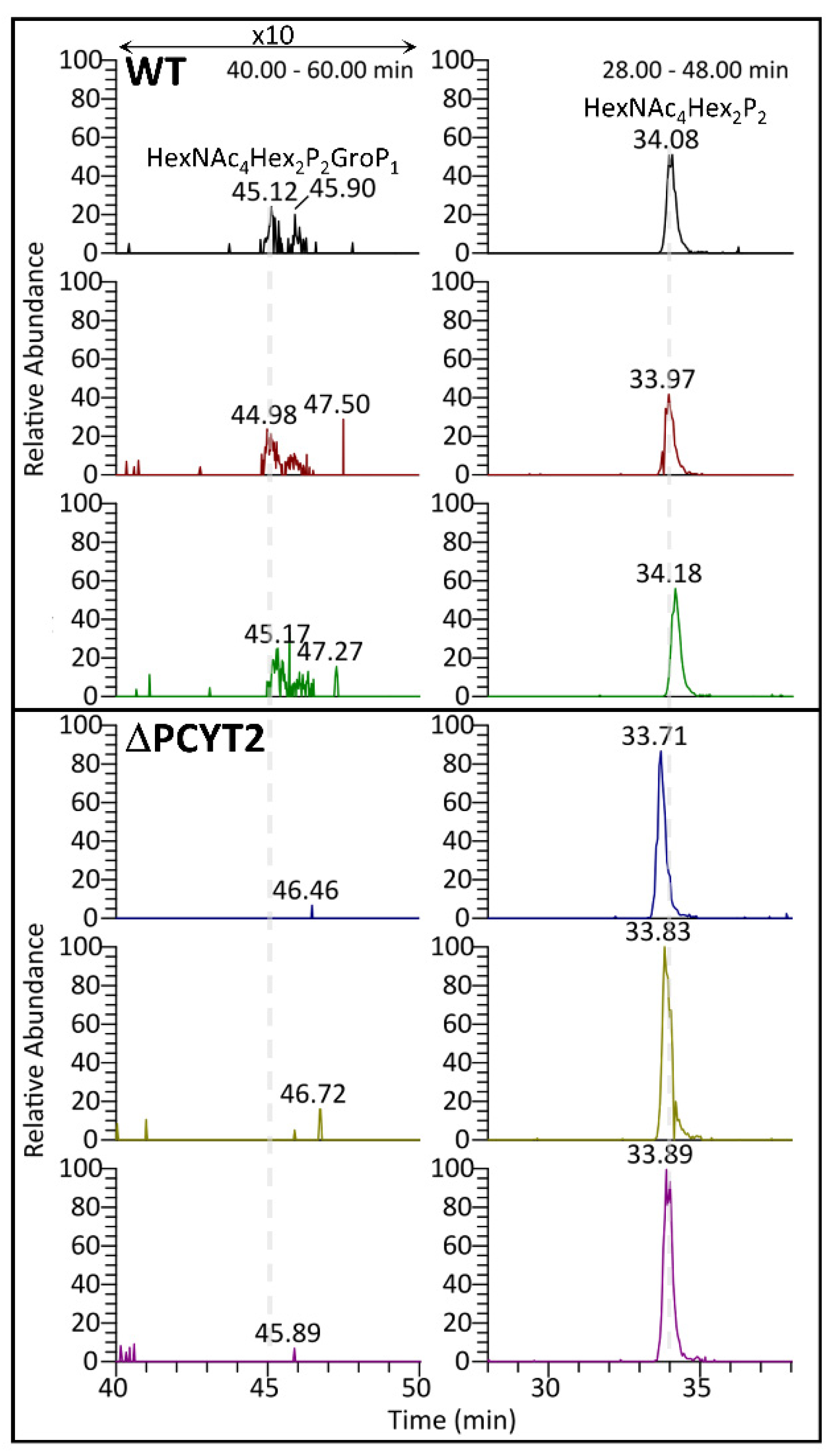 Ijms 23 06662 g005 Ijms 23 06662 g005