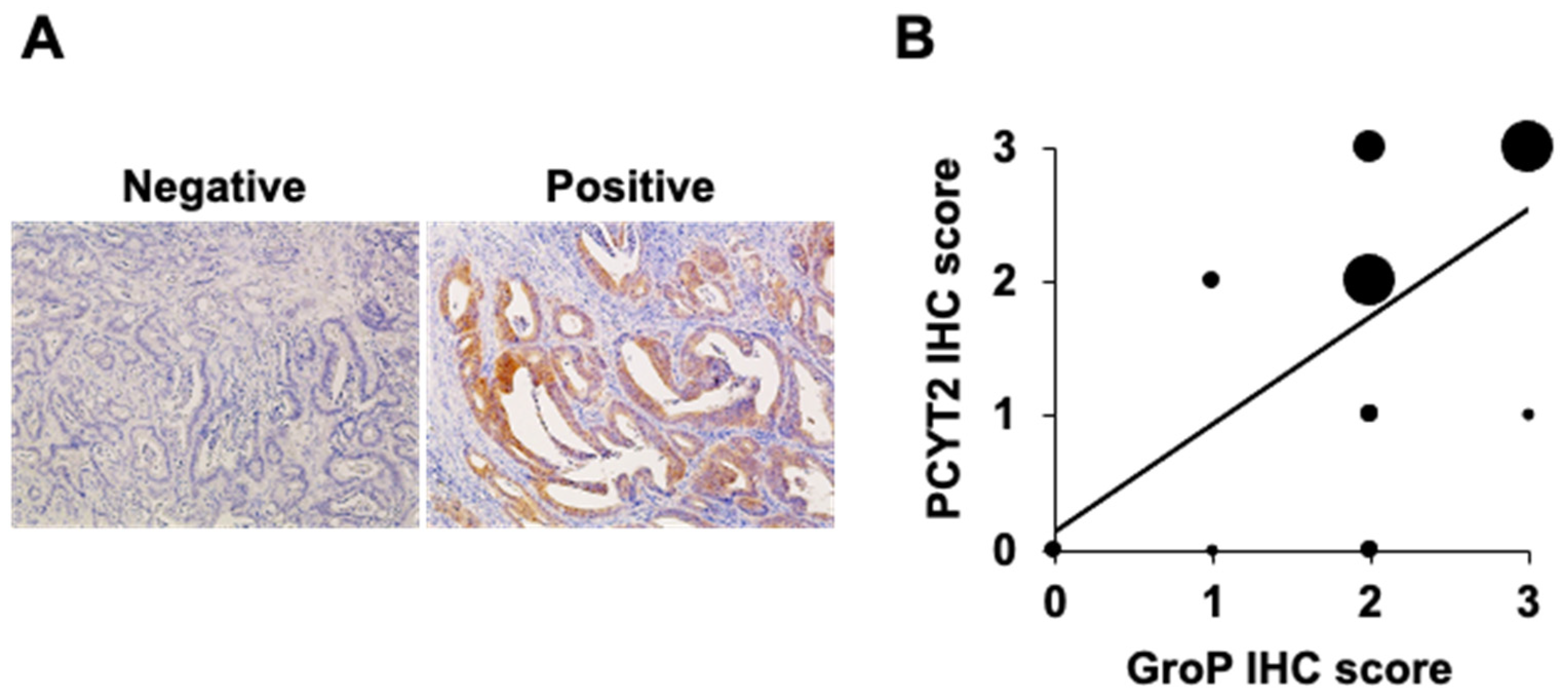 Ijms 23 06662 g007 Ijms 23 06662 g007