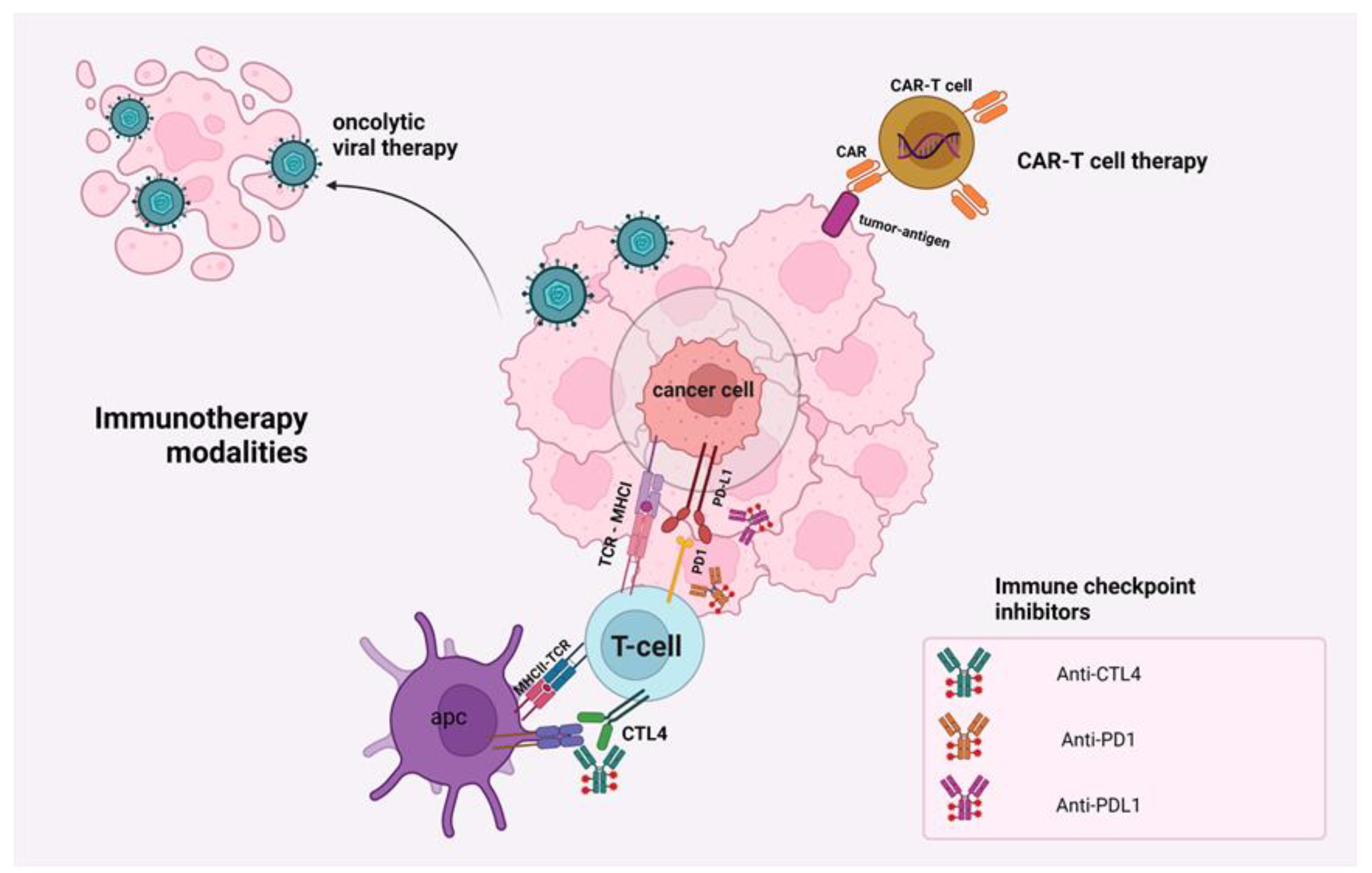 Ijms 23 06664 g002 Ijms 23 06664 g002