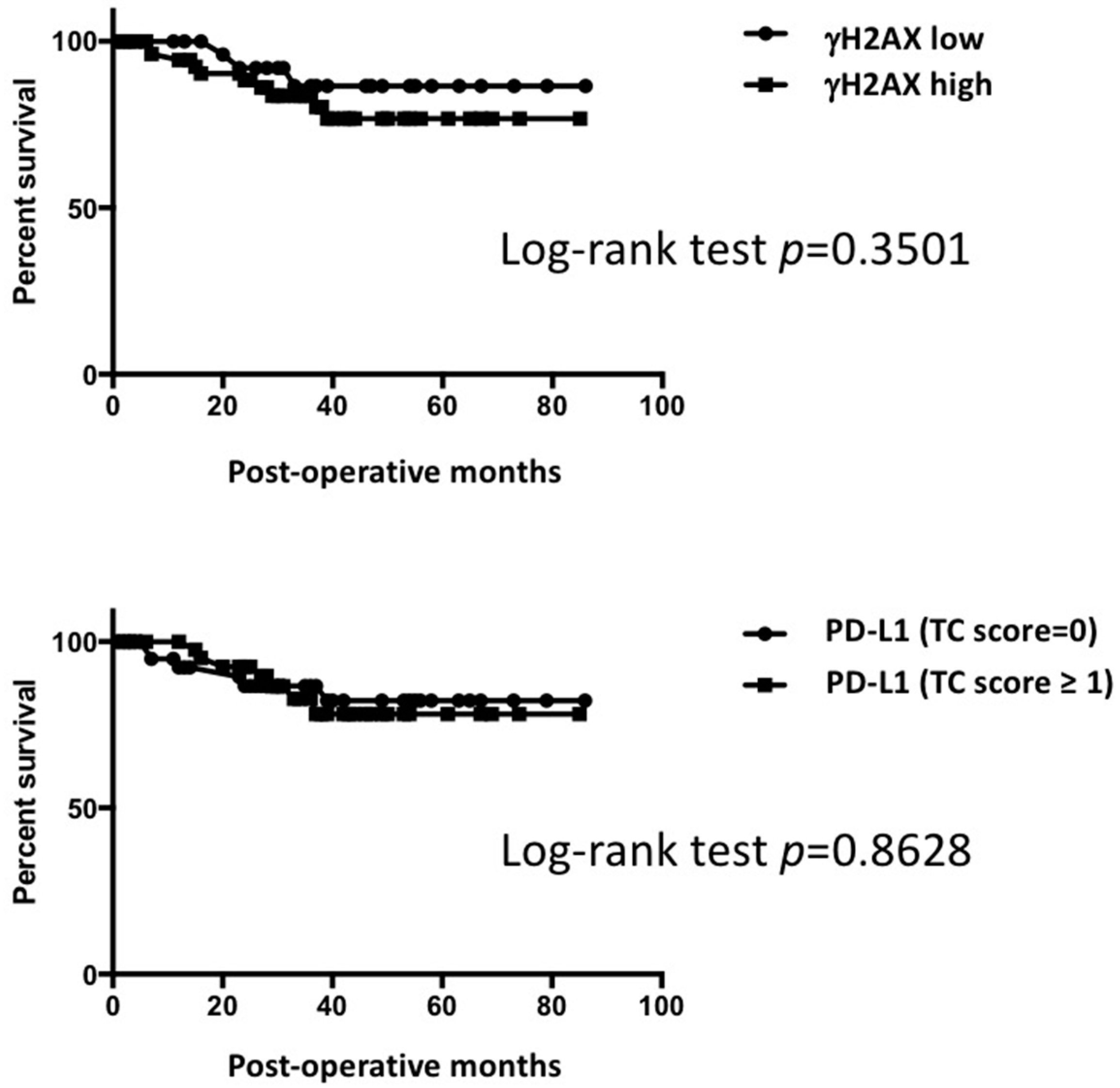 Ijms 23 06679 g006 Ijms 23 06679 g006
