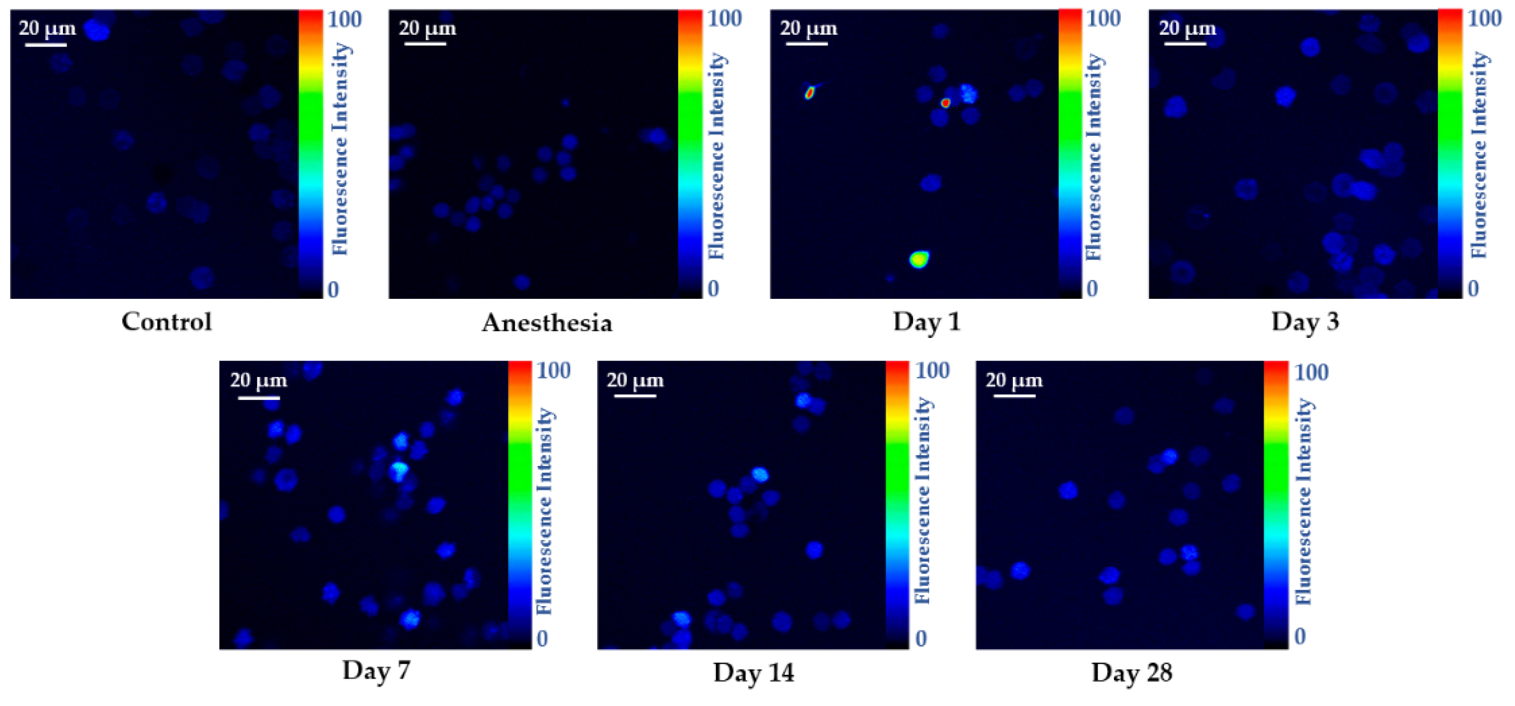 Ijms 23 06692 g002 Ijms 23 06692 g002