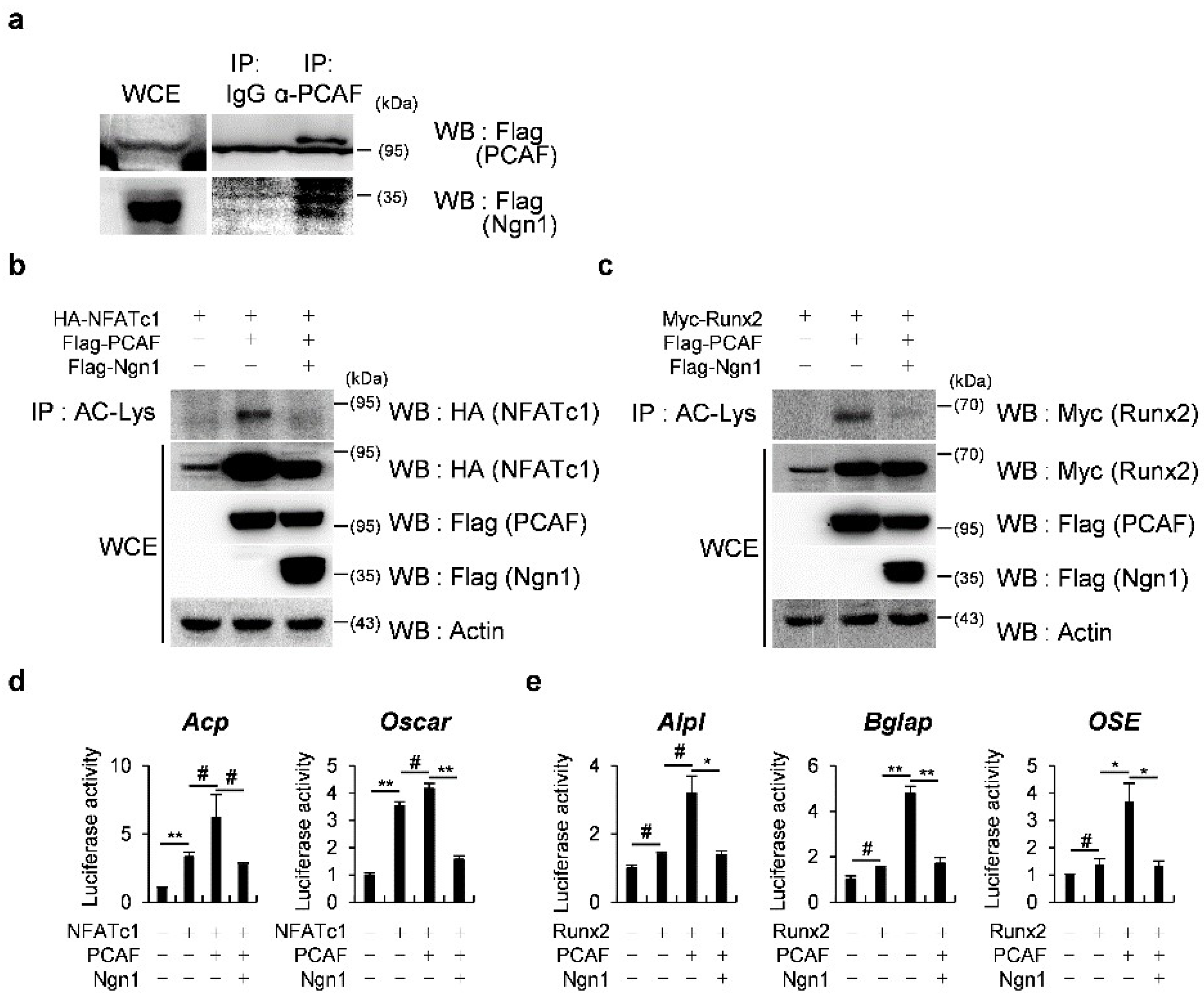 Ijms 23 06708 g003 Ijms 23 06708 g003