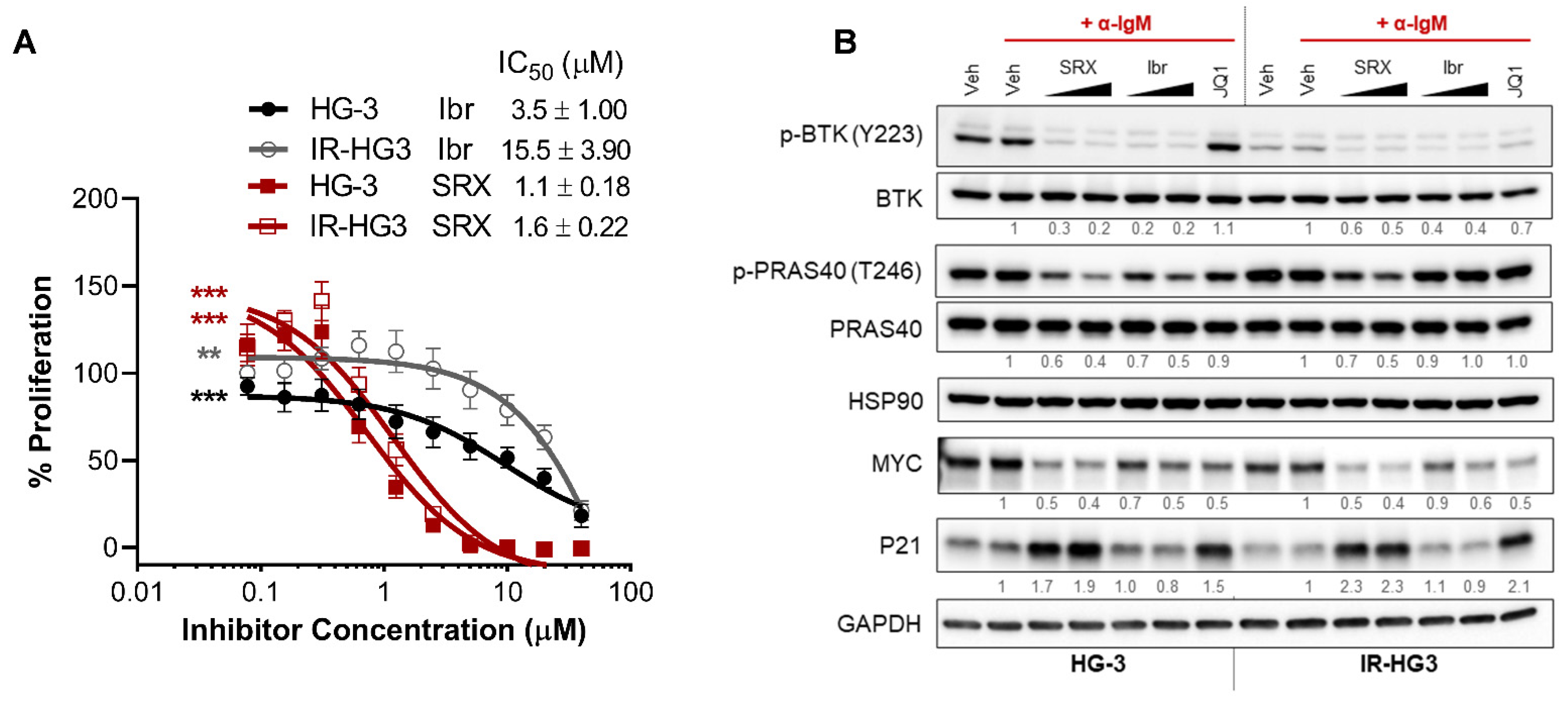 Ijms 23 06712 g005 Ijms 23 06712 g005