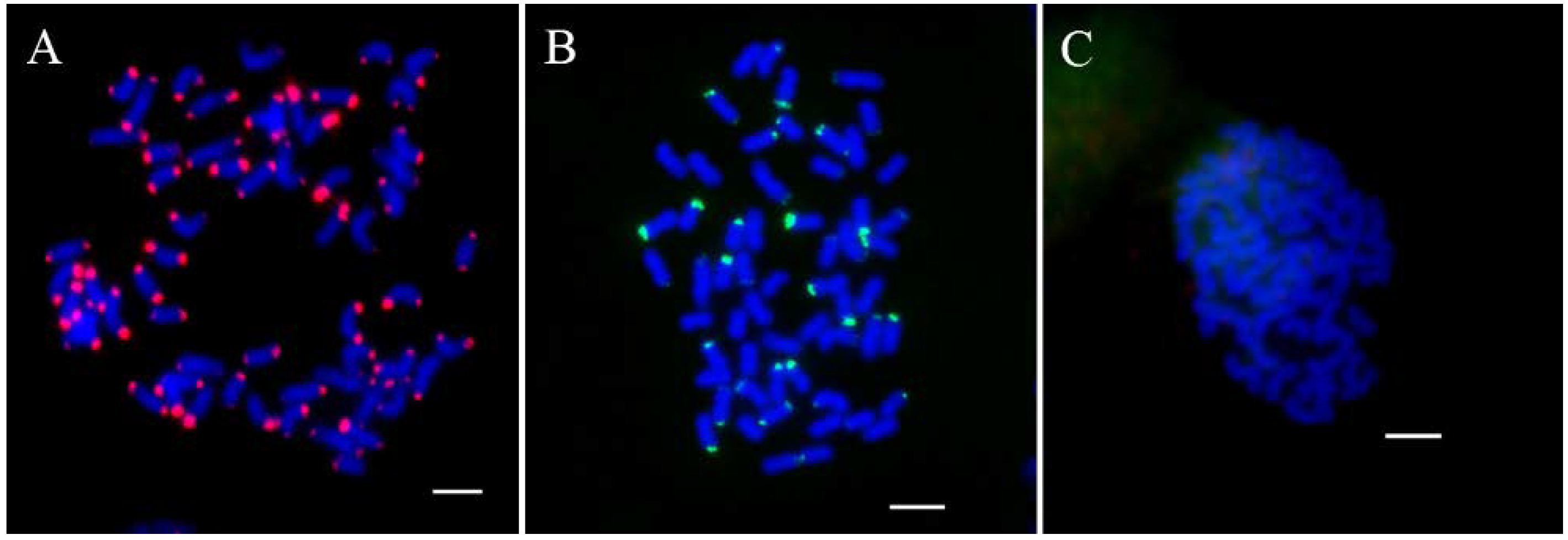 Ijms 23 06726 g002 Ijms 23 06726 g002