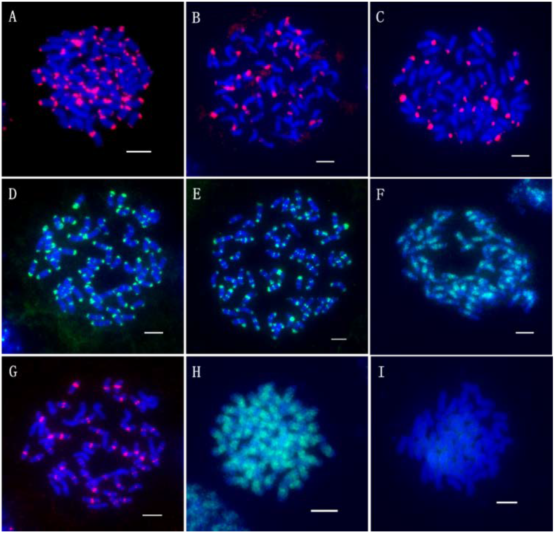 Ijms 23 06726 g003 Ijms 23 06726 g003