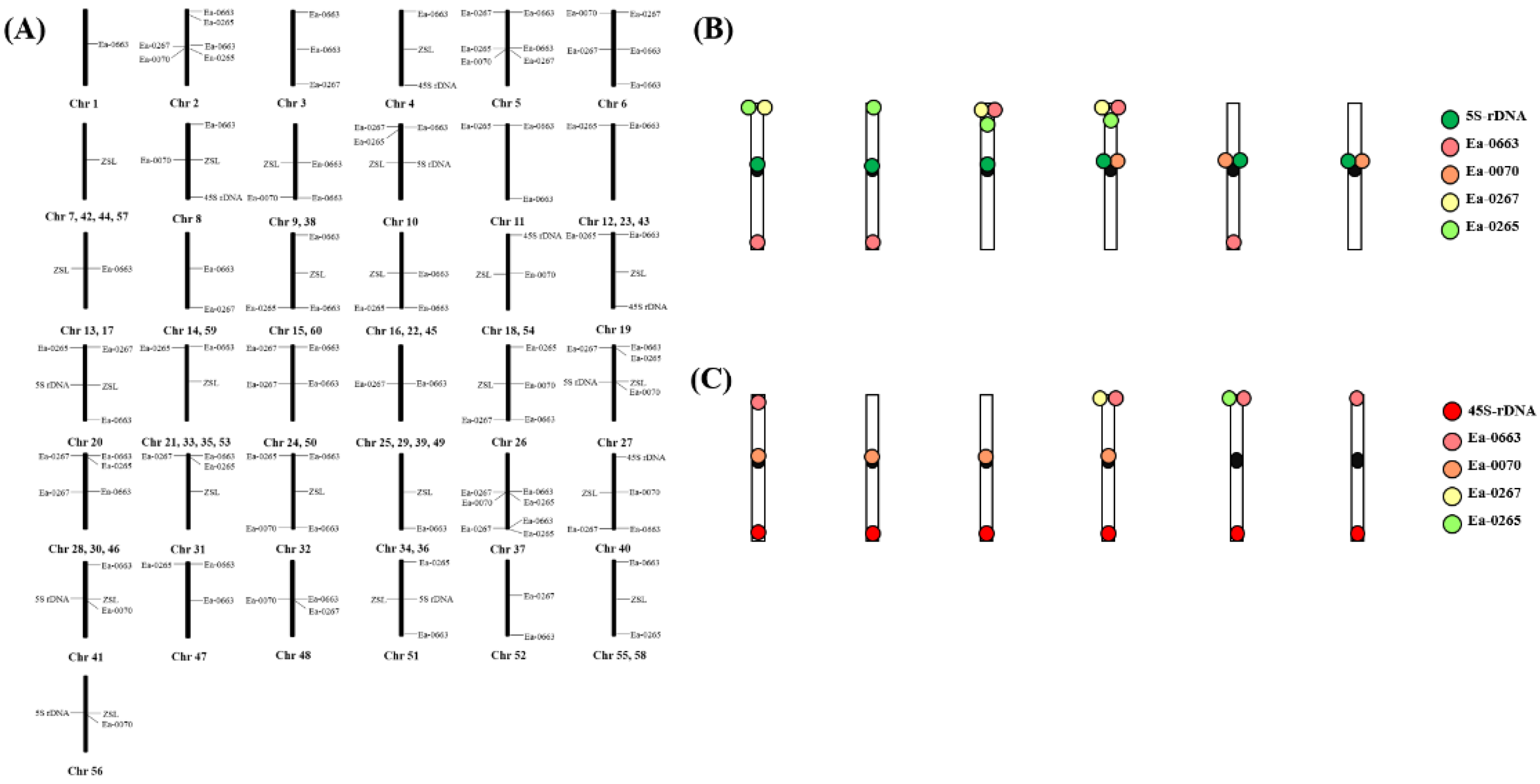 Ijms 23 06726 g008 Ijms 23 06726 g008