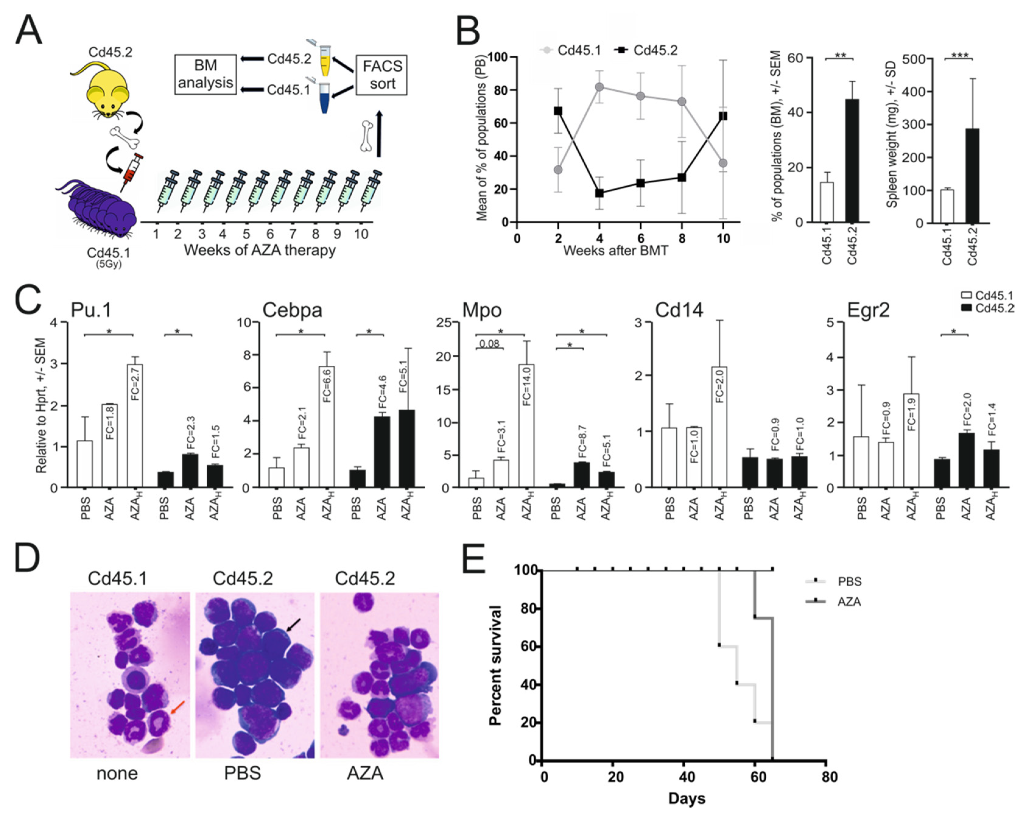 Ijms 23 06729 g003 Ijms 23 06729 g003