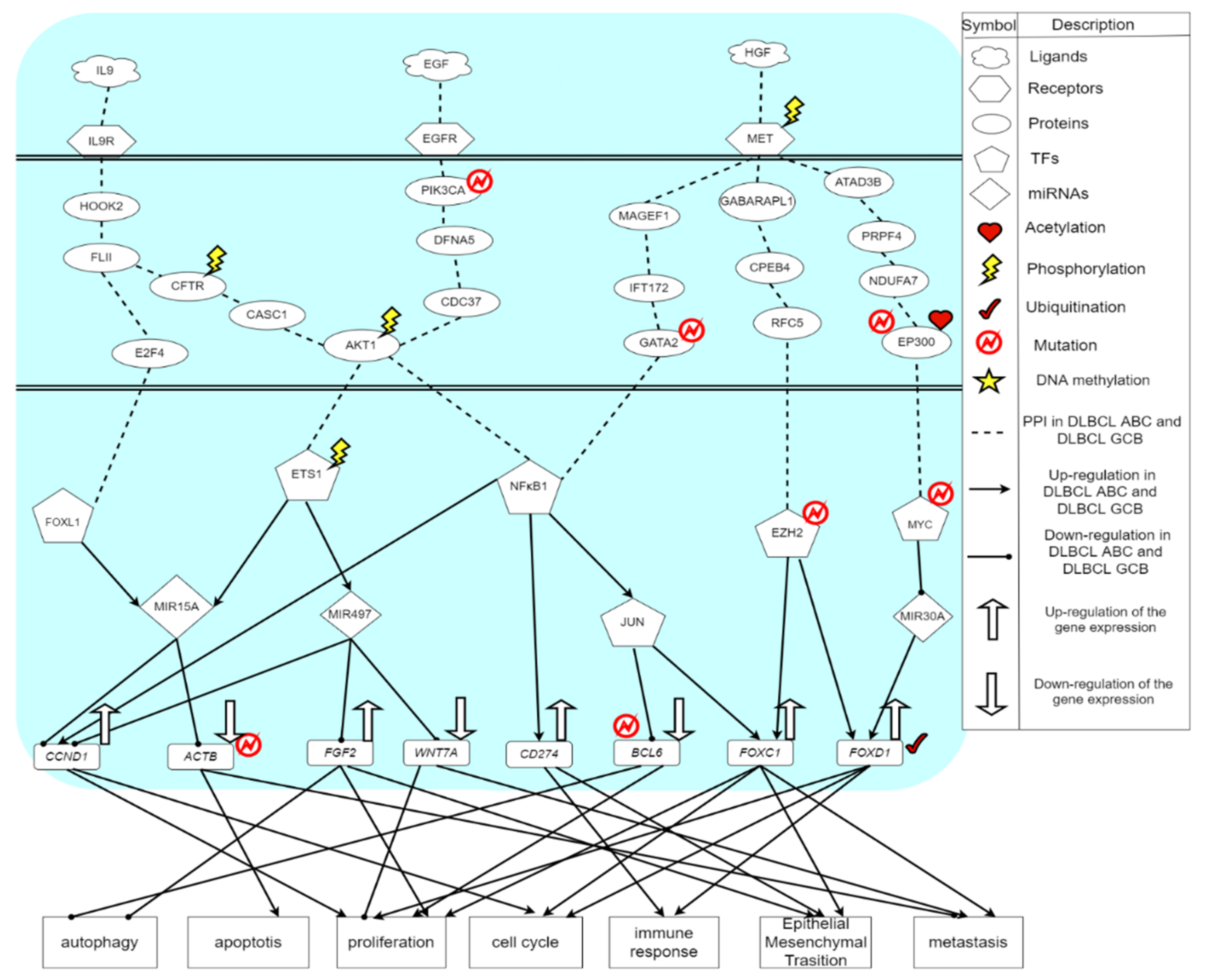 Ijms 23 06732 g003 Ijms 23 06732 g003