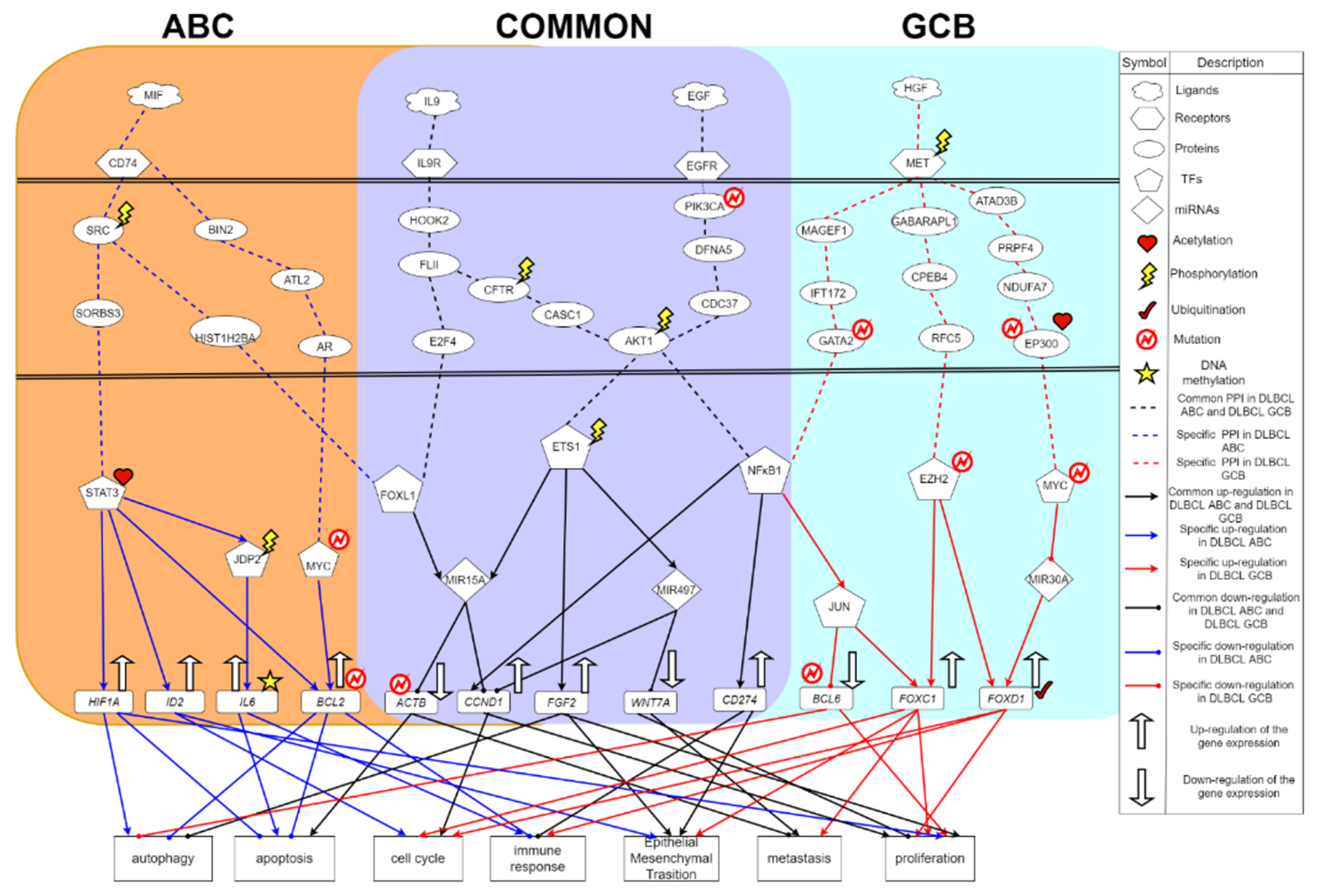 Ijms 23 06732 g004 Ijms 23 06732 g004