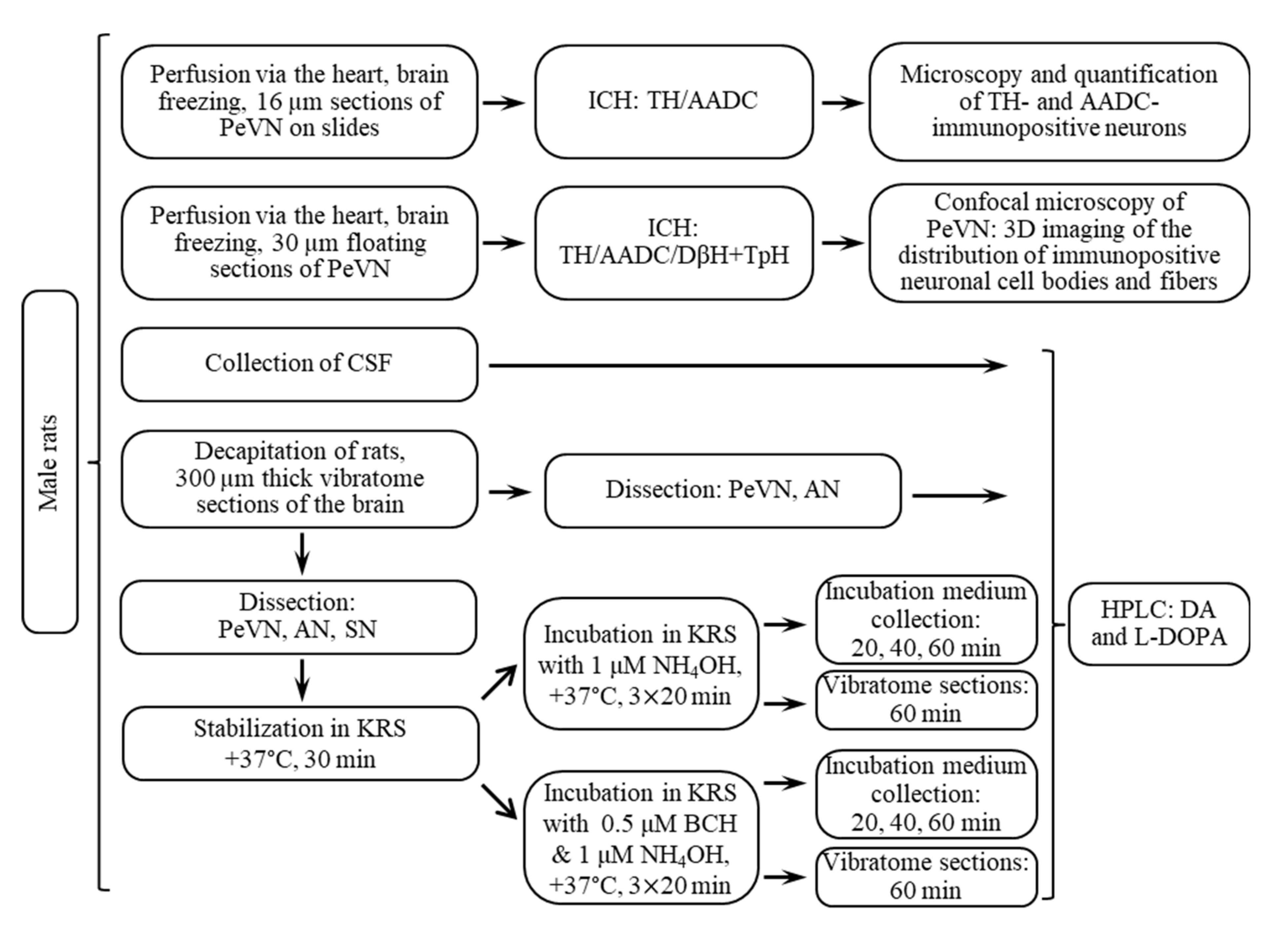 Ijms 23 06739 g010 Ijms 23 06739 g010