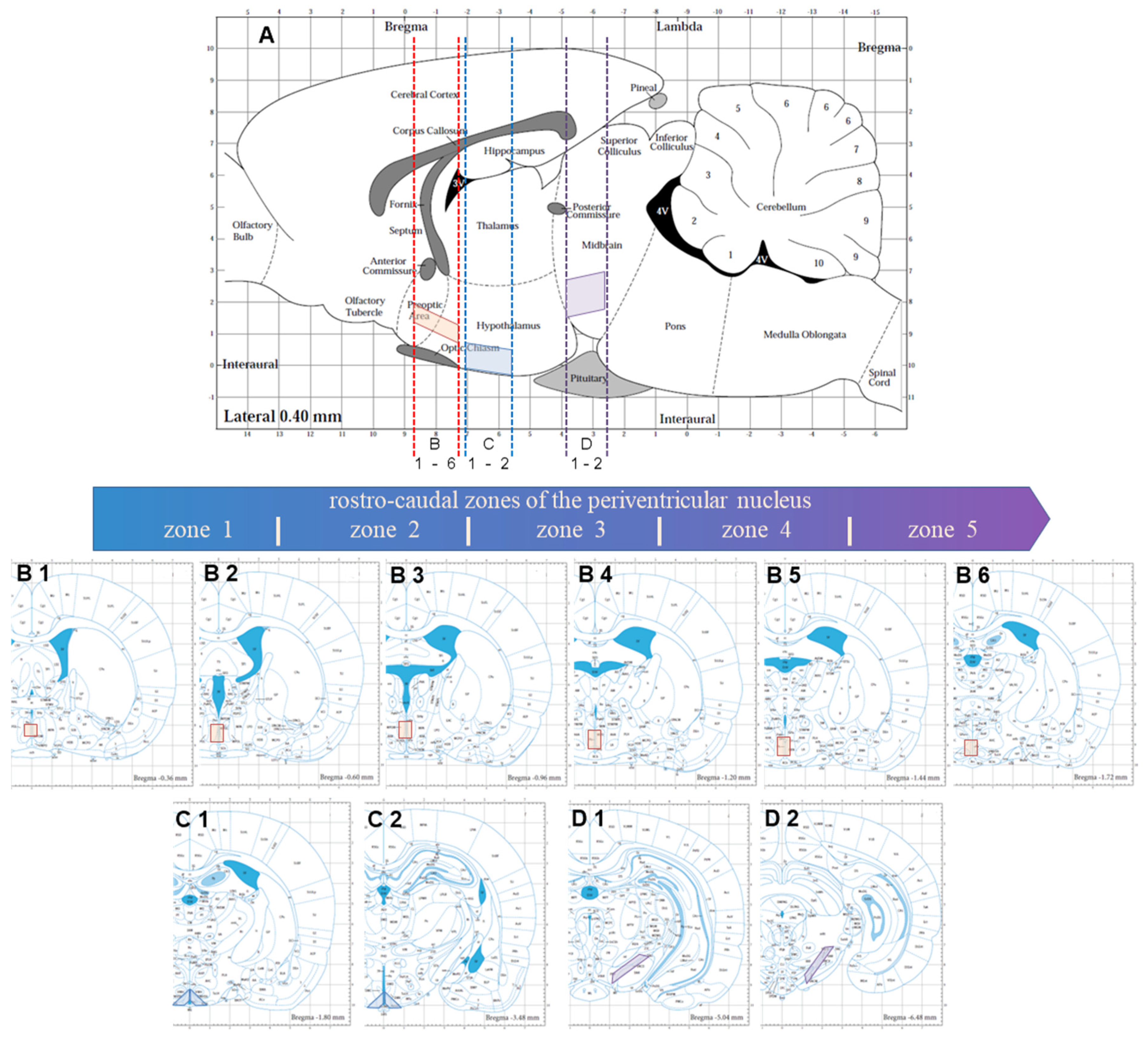 Ijms 23 06739 g011 Ijms 23 06739 g011