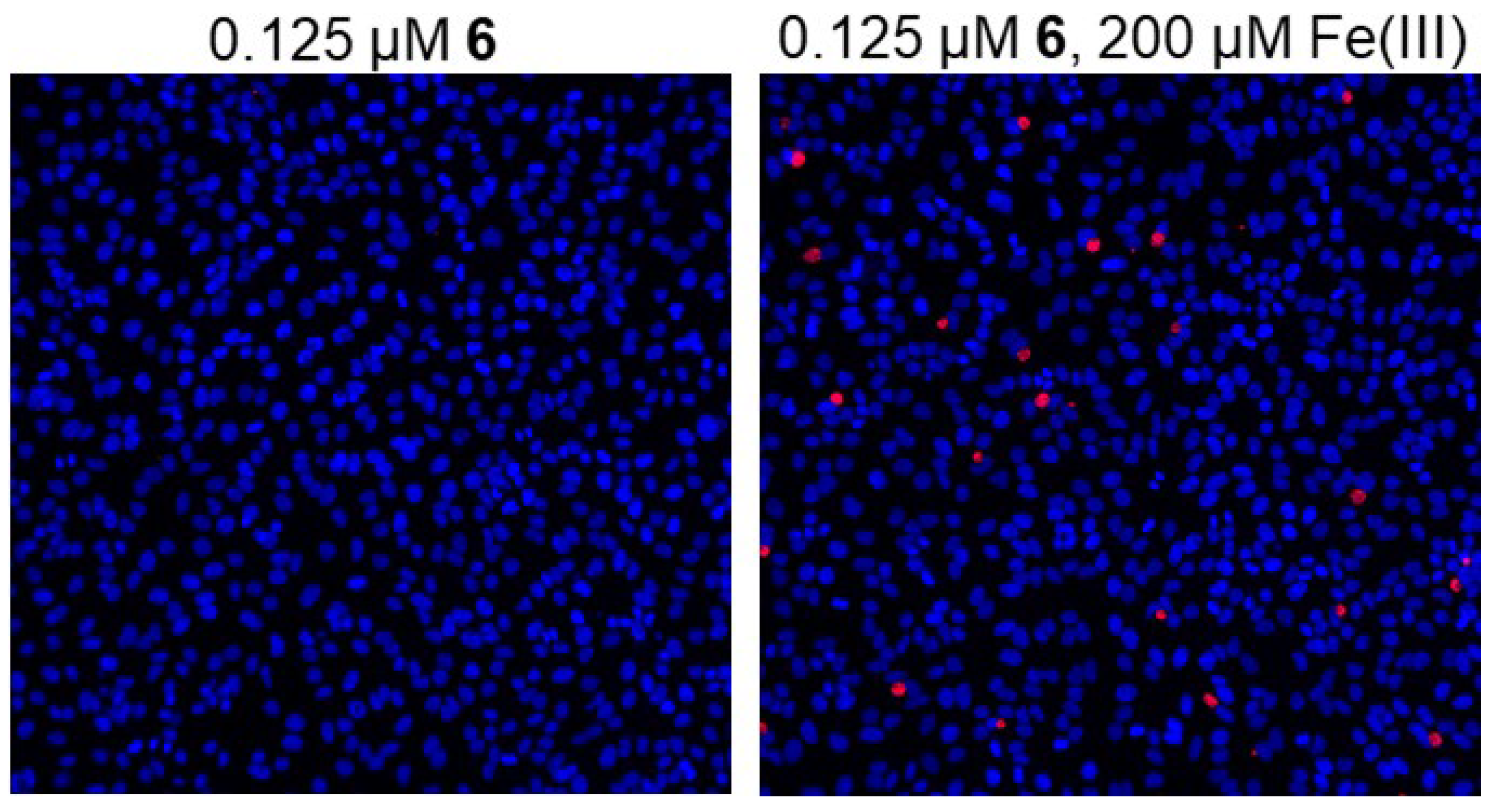 Ijms 23 06741 g005 Ijms 23 06741 g005