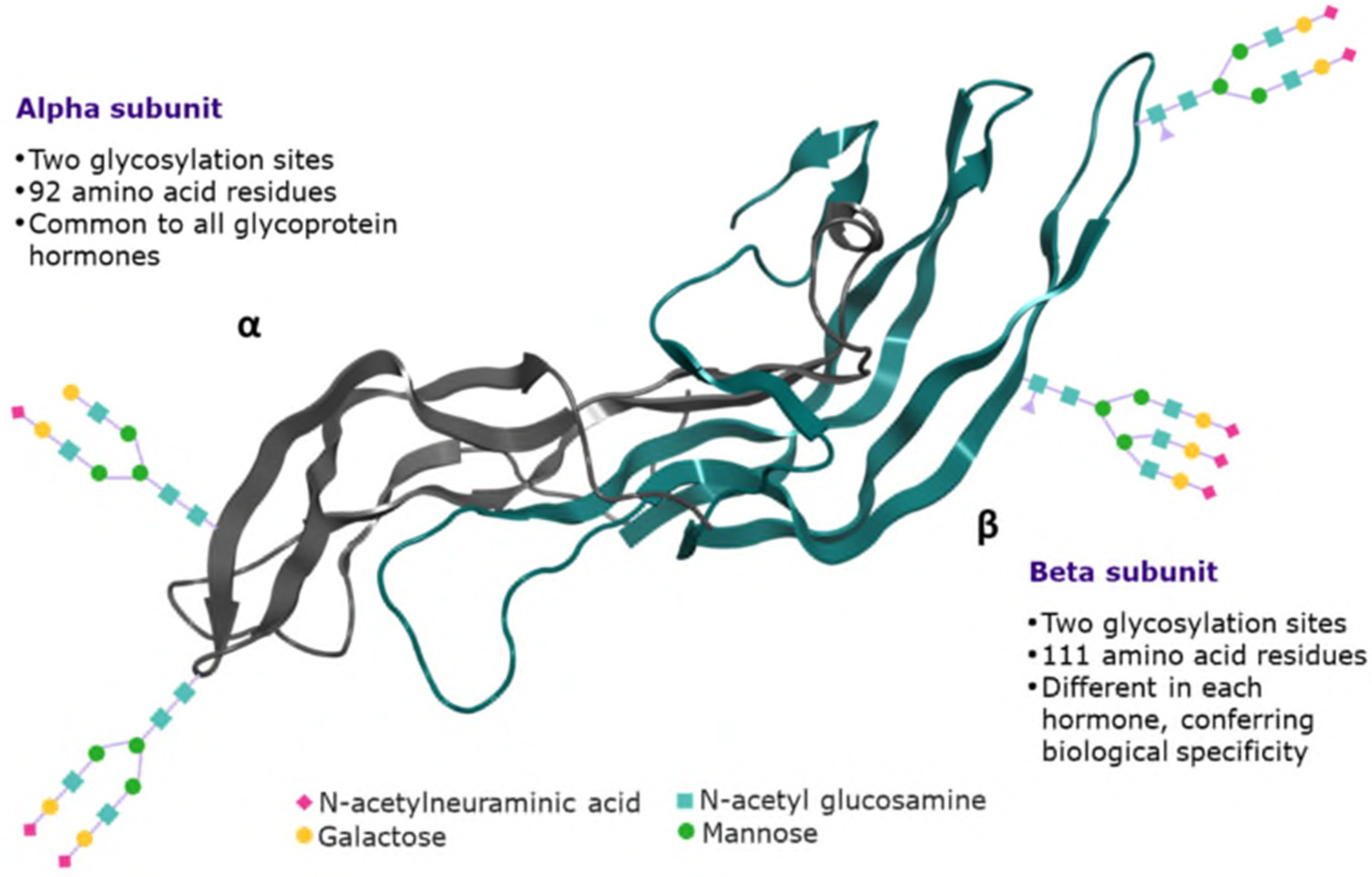 IJMS | Free Full-Text | Comparative Assessment of the Structural Features  of Originator Recombinant Human Follitropin Alfa Versus Recombinant Human  Follitropin Alfa Biosimilar Preparations Approved in Non-European Regions