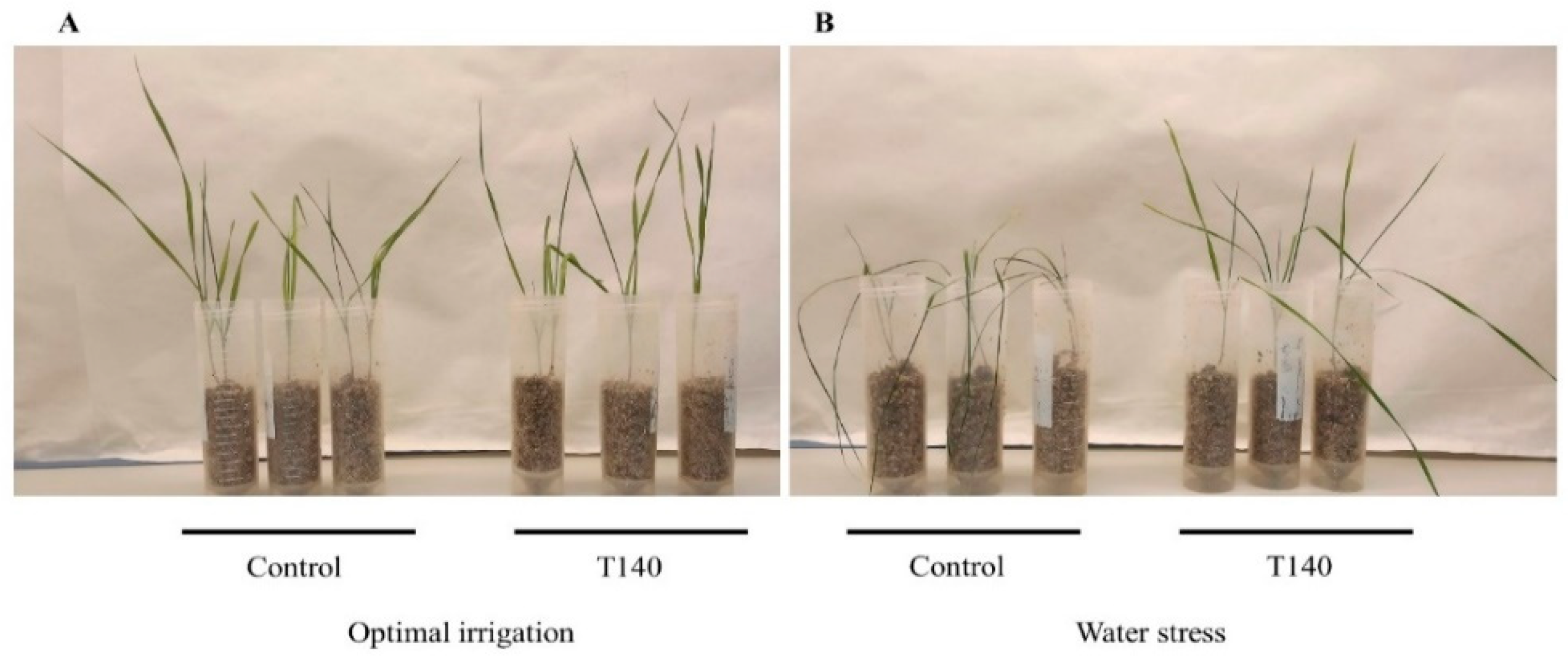 Ijms 23 06782 g002 Ijms 23 06782 g002
