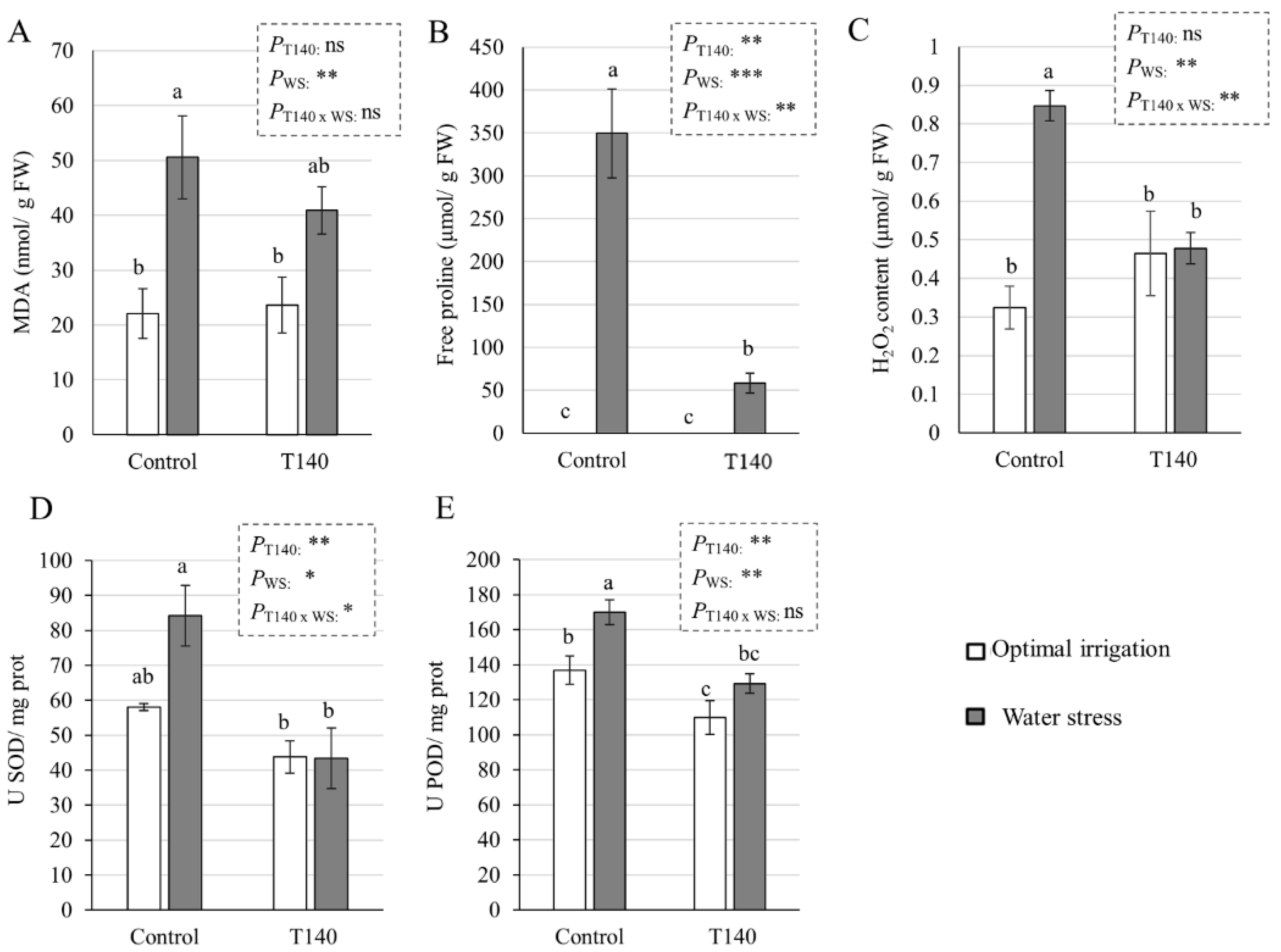 Ijms 23 06782 g005 Ijms 23 06782 g005