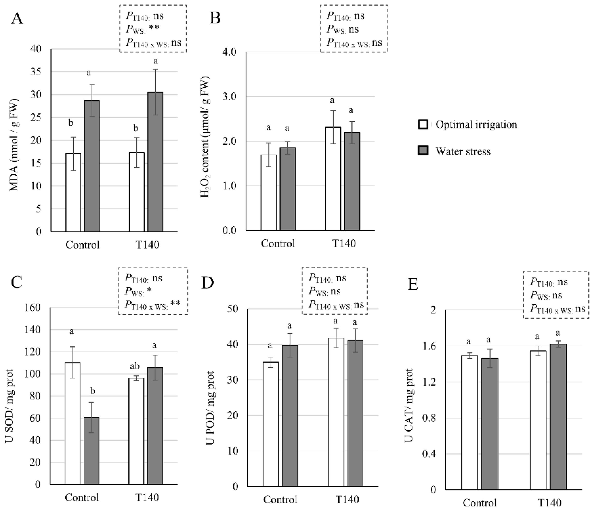 Ijms 23 06782 g008 Ijms 23 06782 g008