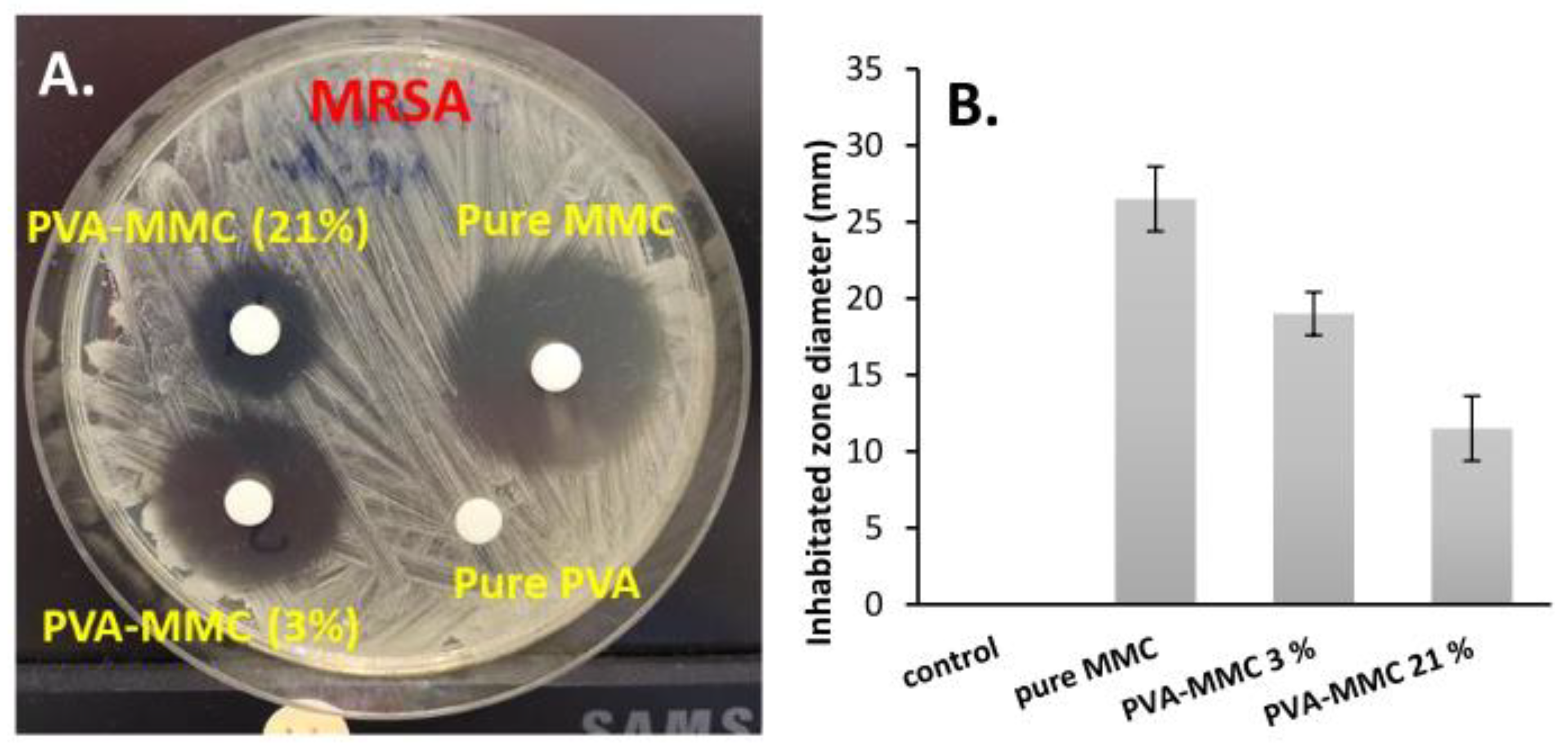 Ijms 23 06807 g007 Ijms 23 06807 g007